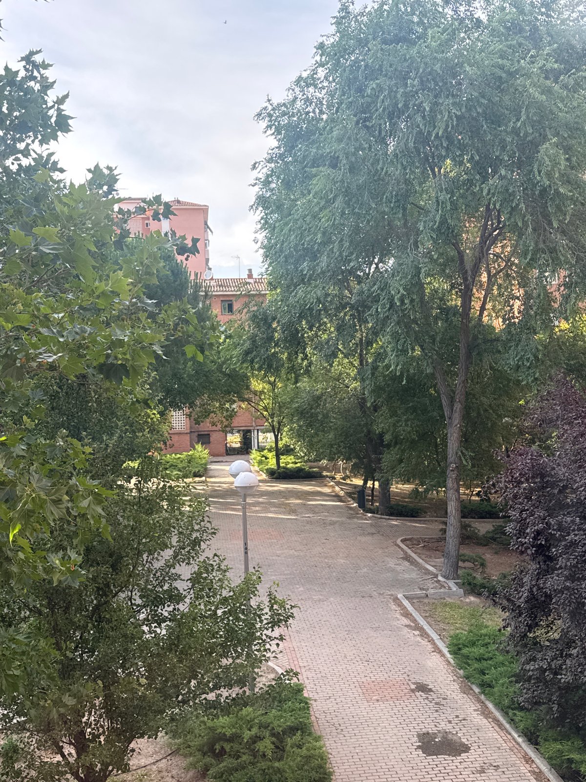 Lazy Madrid afternoon: soccer, a cold beer, and a laptop