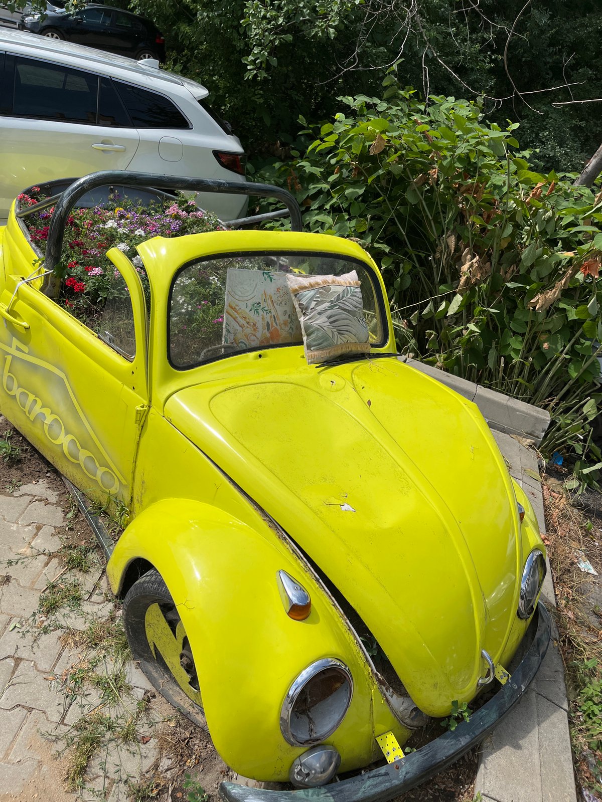 Retired yellow Beetle becomes a planter on a Sofia street