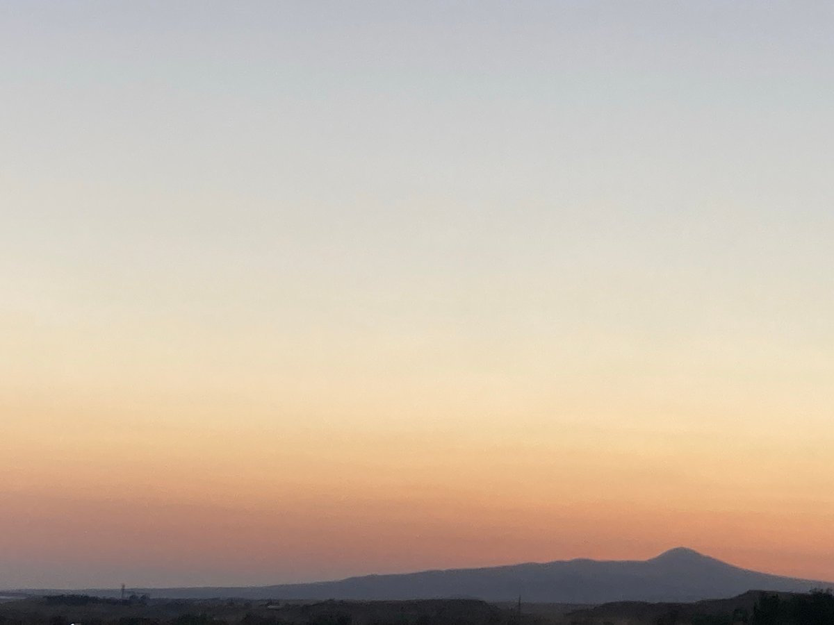 Dogs roam dusty paths at twilight near Avanos