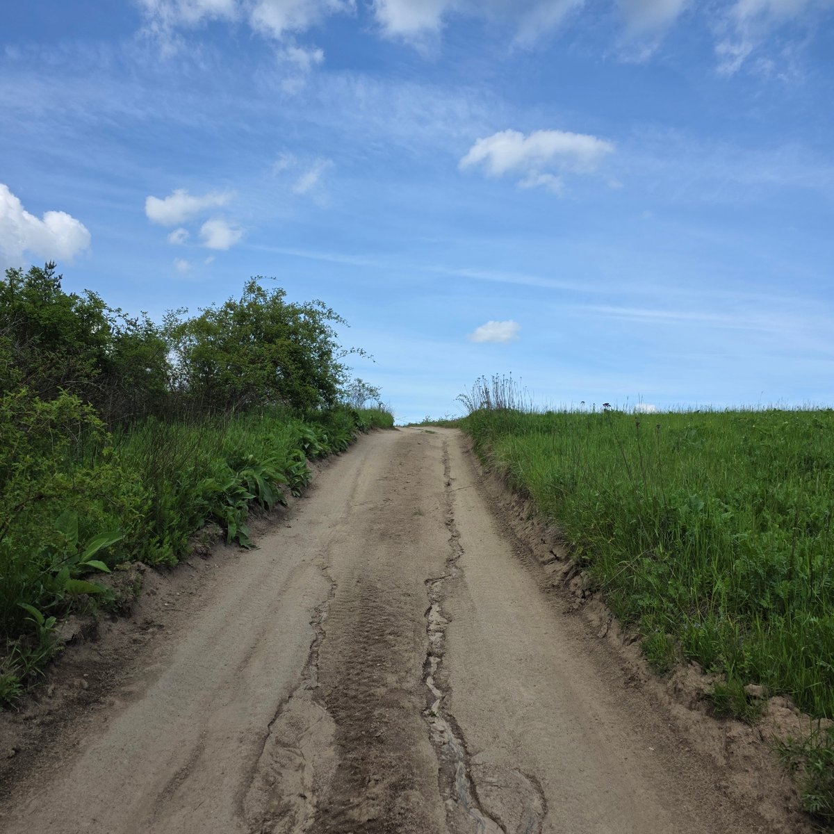 Rural landscapes documented in Zheleznitsa, Bulgaria countryside
