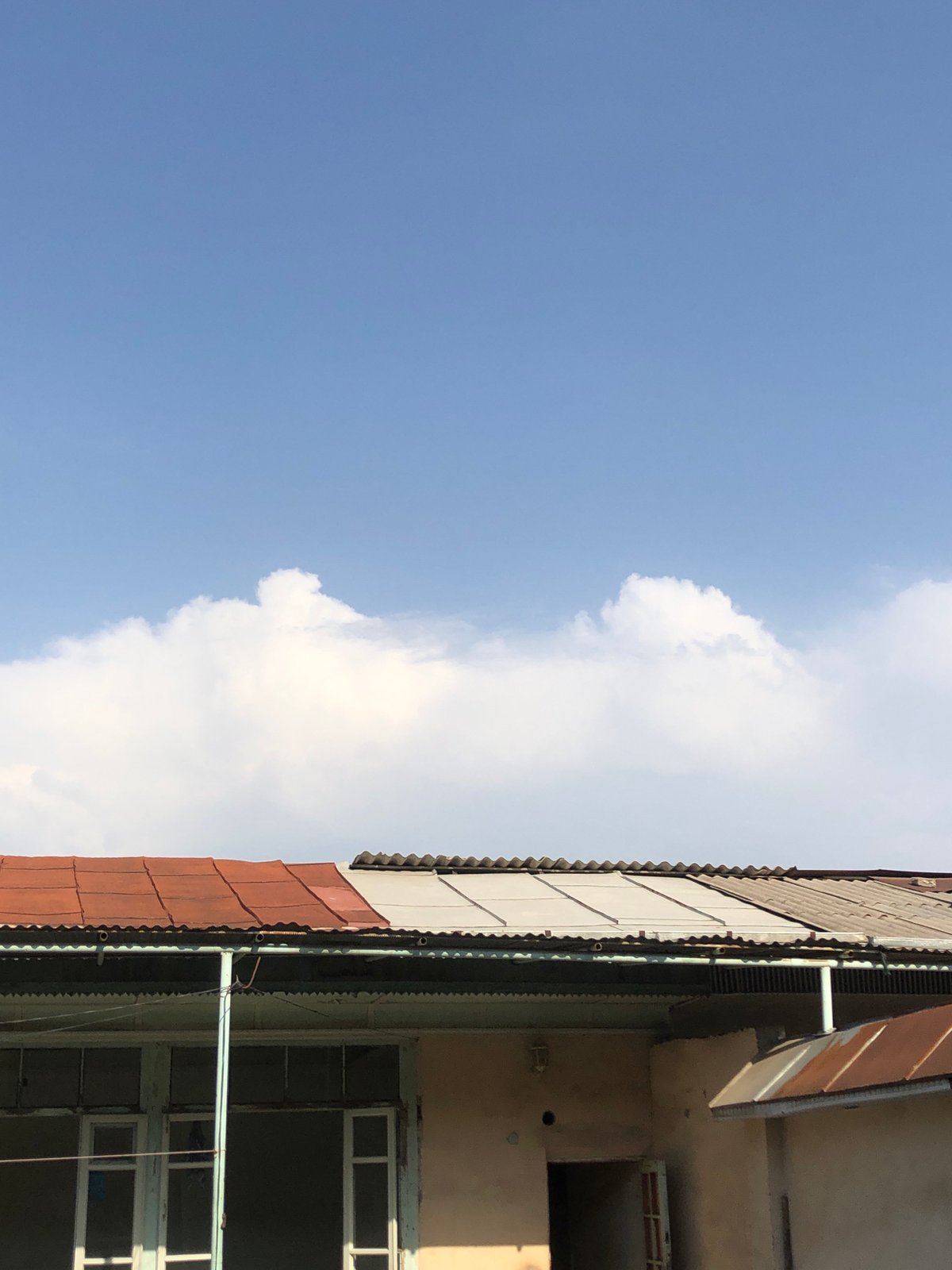 Scattered midday moments across a Tashkent neighborhood