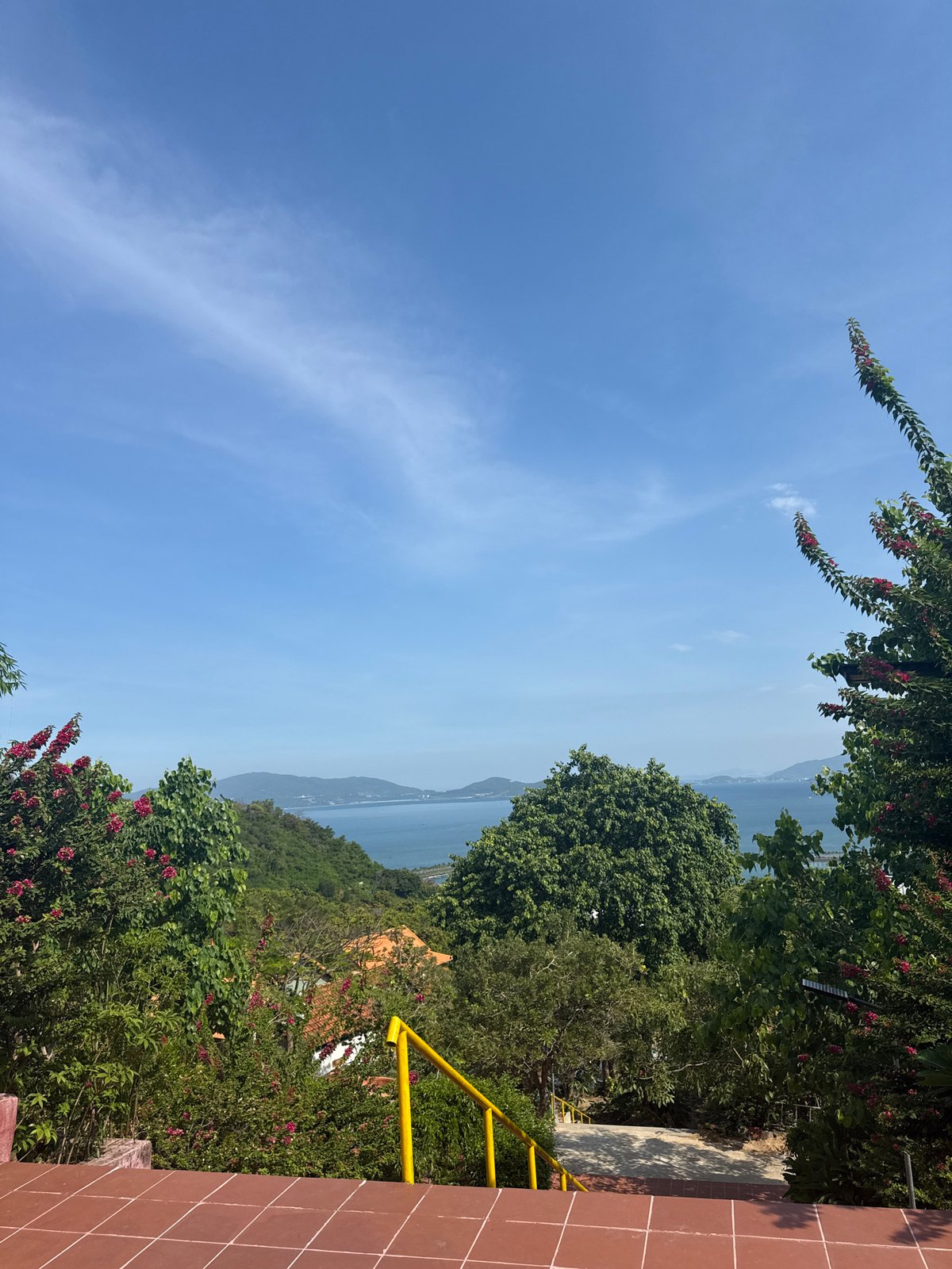 Blooming frangipani and coastal views from a Nha Trang terrace
