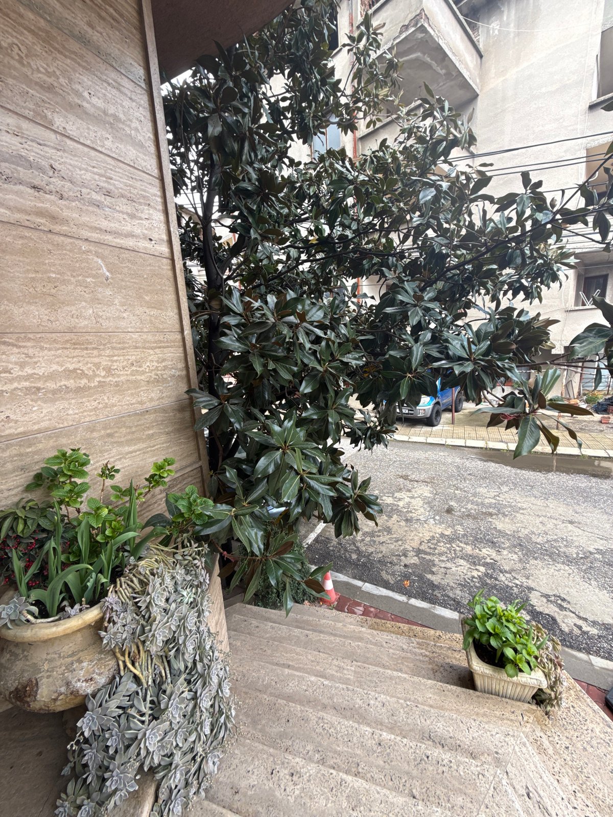 Quiet courtyard scene documented in Petrich, Bulgaria