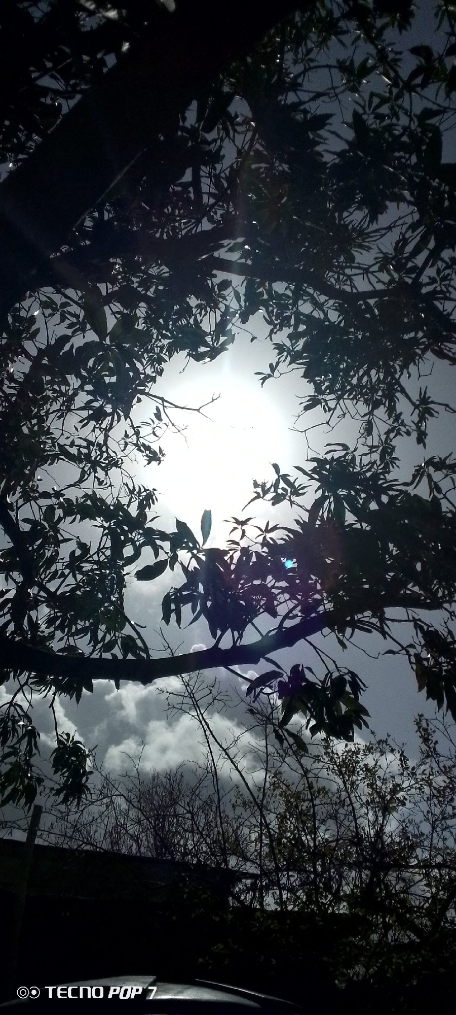 Witness documents sunlight through trees in Altagracia, Venezuela