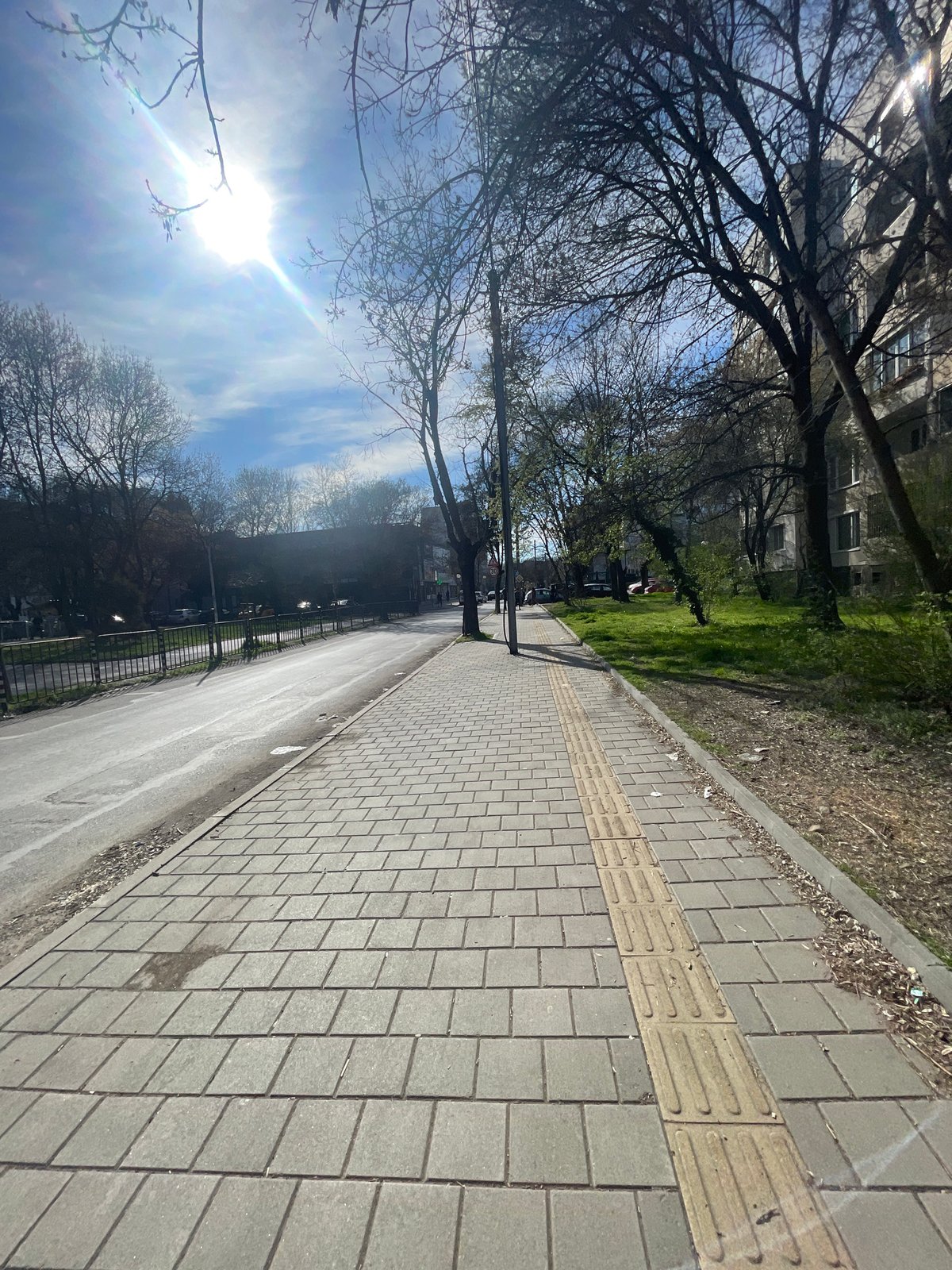 Sofia street scene shows tactile sidewalk paving for accessibility