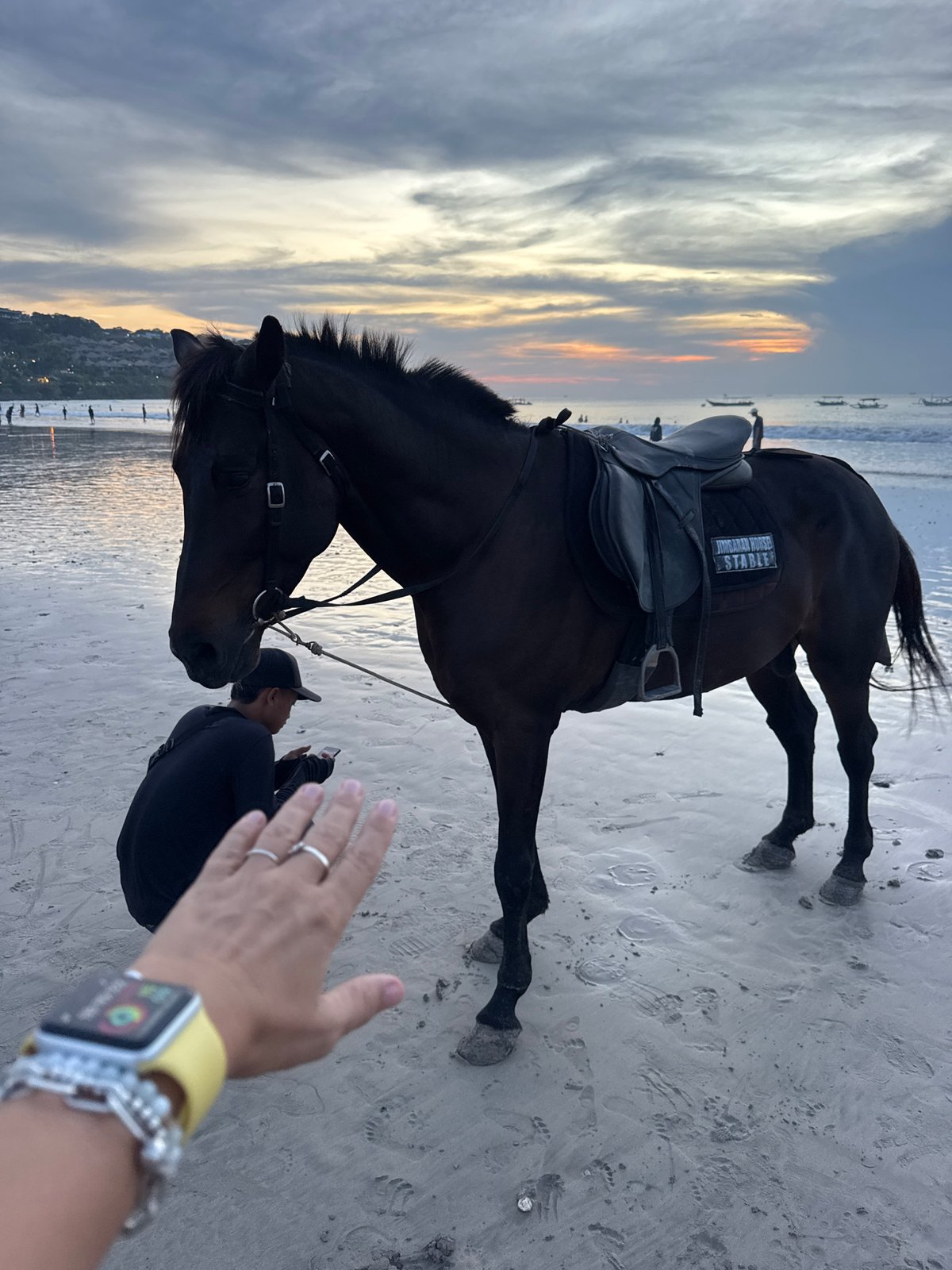Saddled horse, beachgoers gather at sunset shoreline
