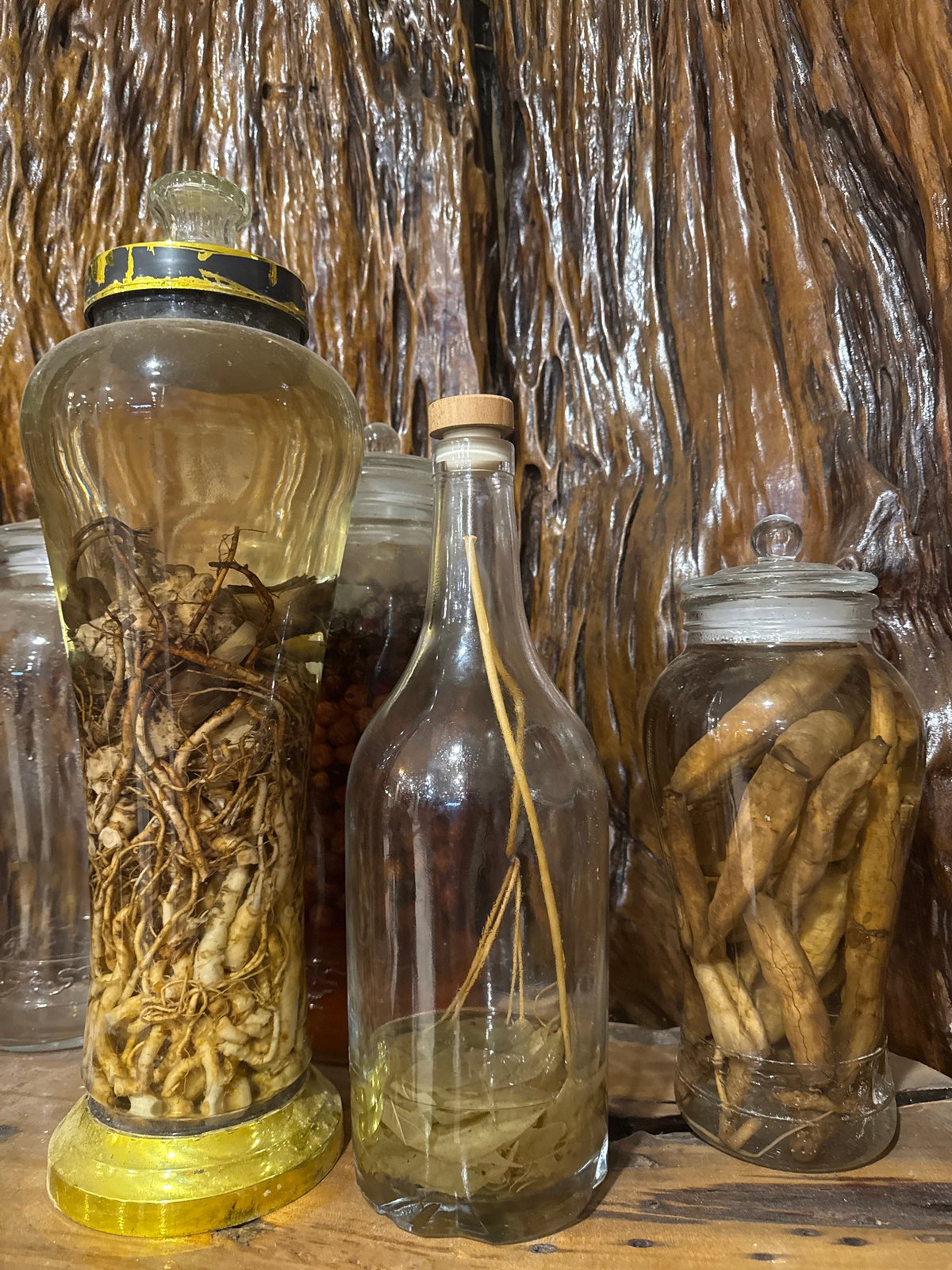 Tourist visits traditional medicine shop, restaurant in Tú Lệ