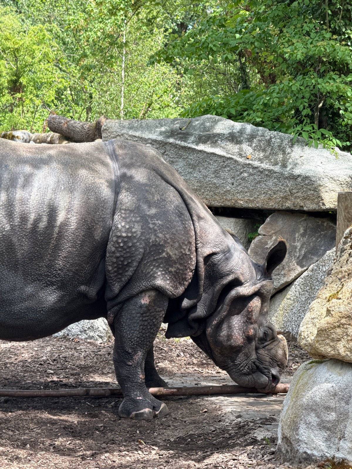 Zoo animals documented during midday visit in Munich