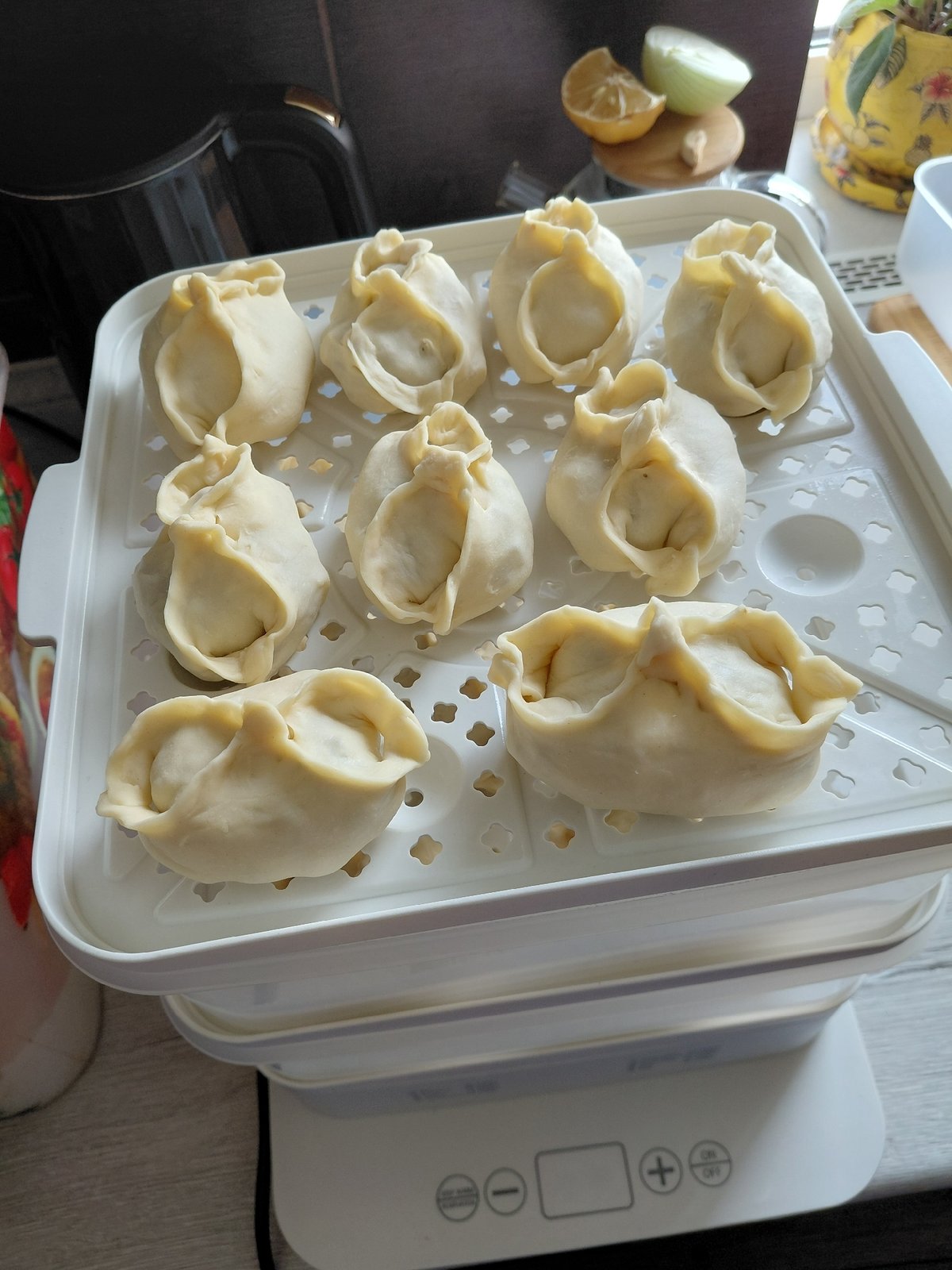 Homemade dumplings, garden roses, and a slow Novosibirsk morning