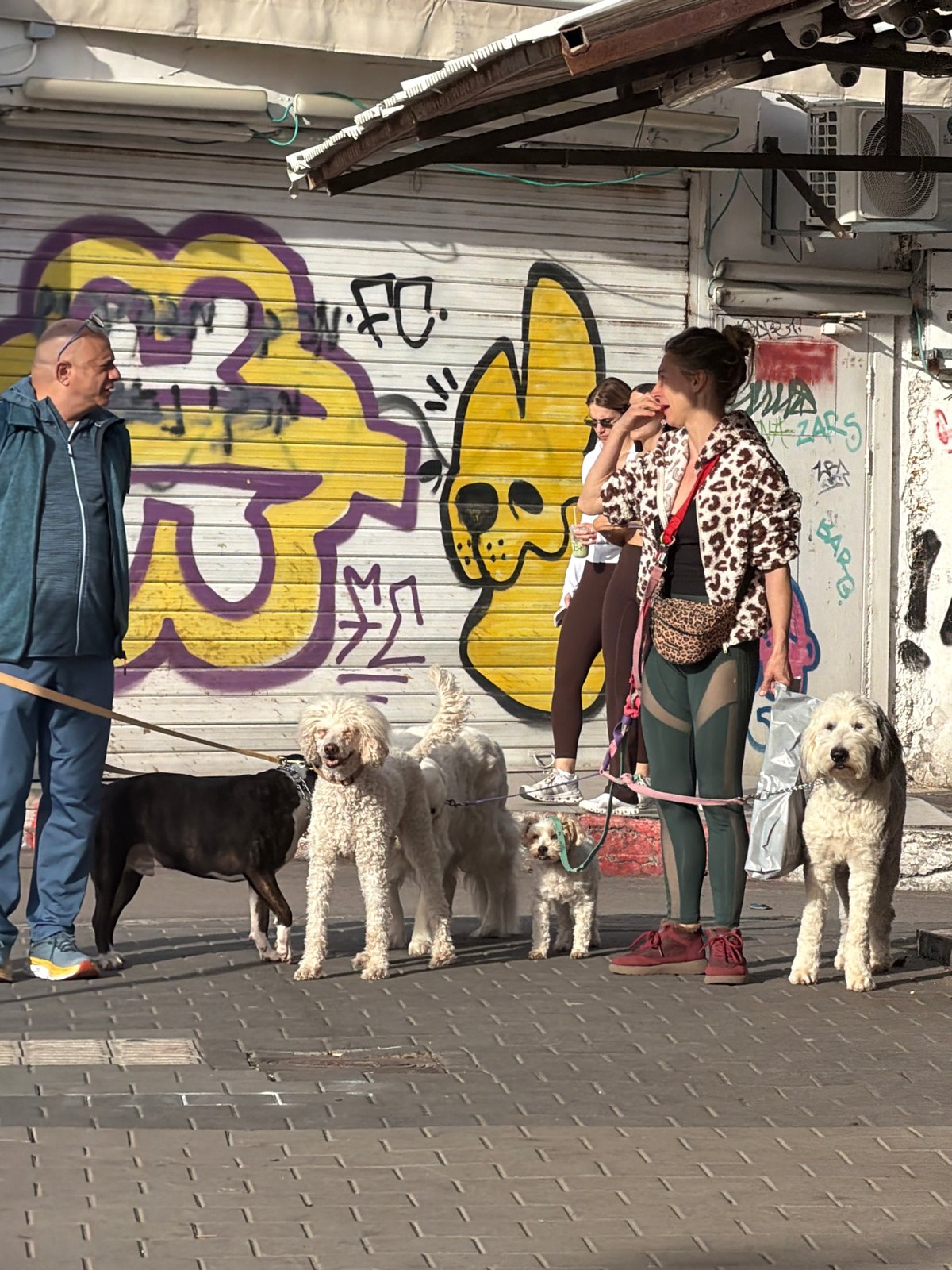 Routine urban life documented across Tel Aviv neighborhoods