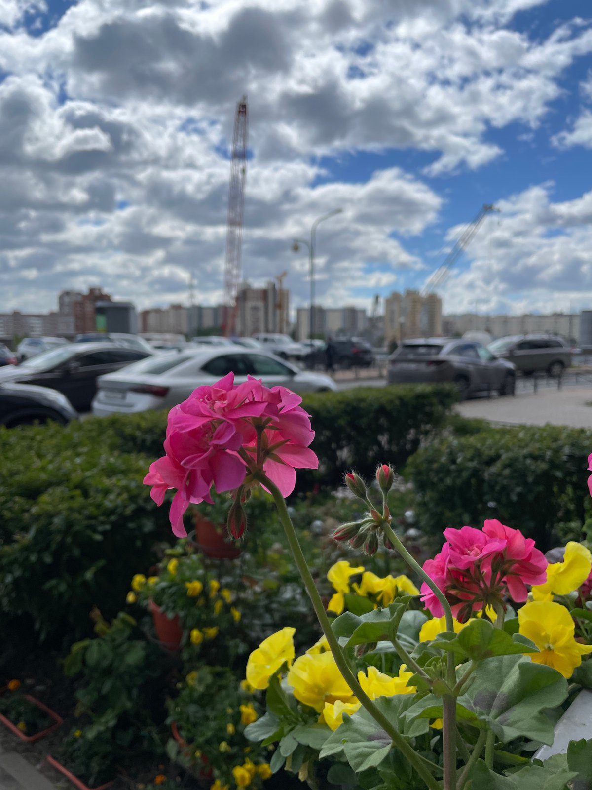 Morning residential scenes documented in Saint Petersburg neighborhood