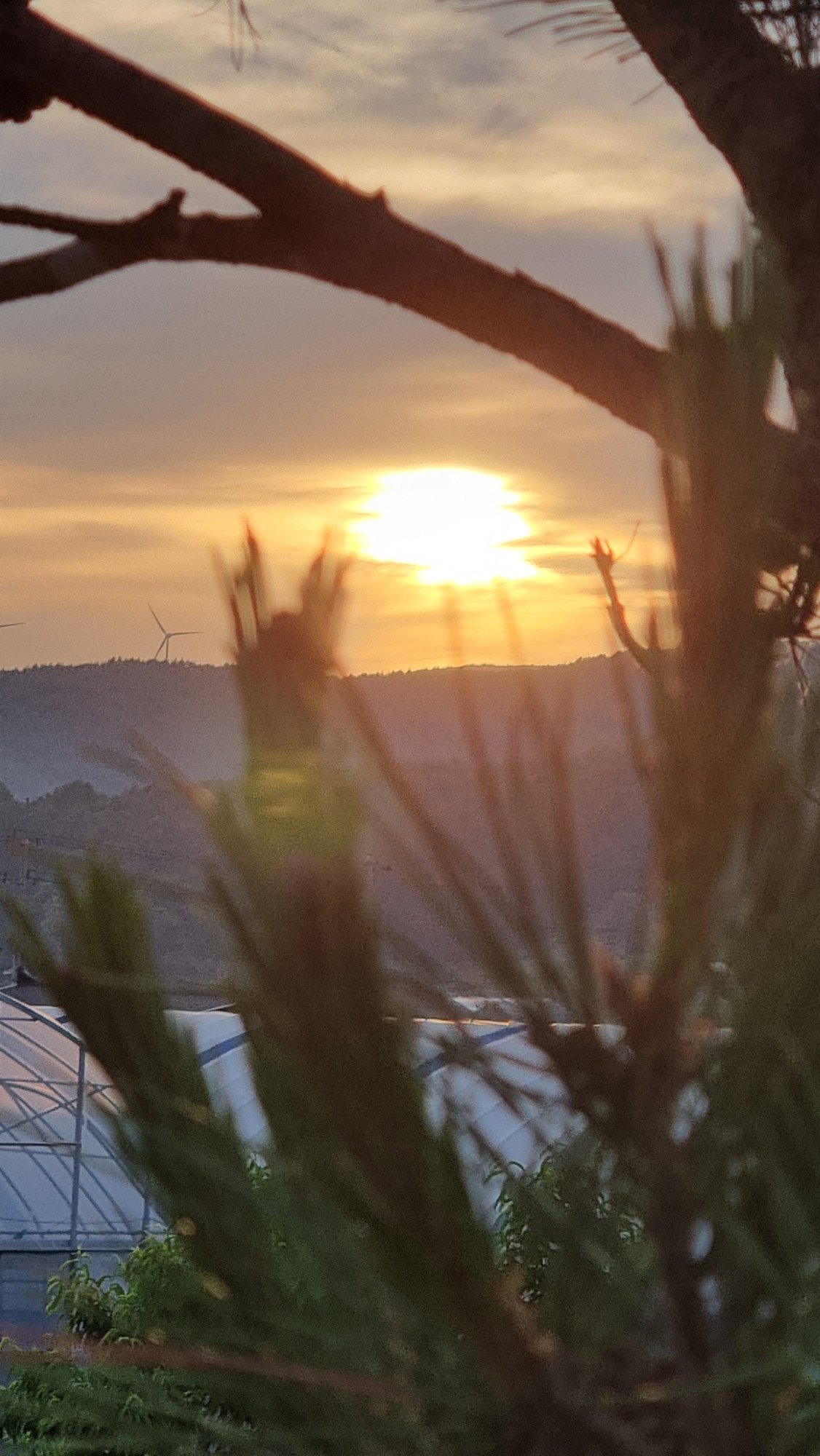 Evening sunset and pet encounters documented in rural South Korea