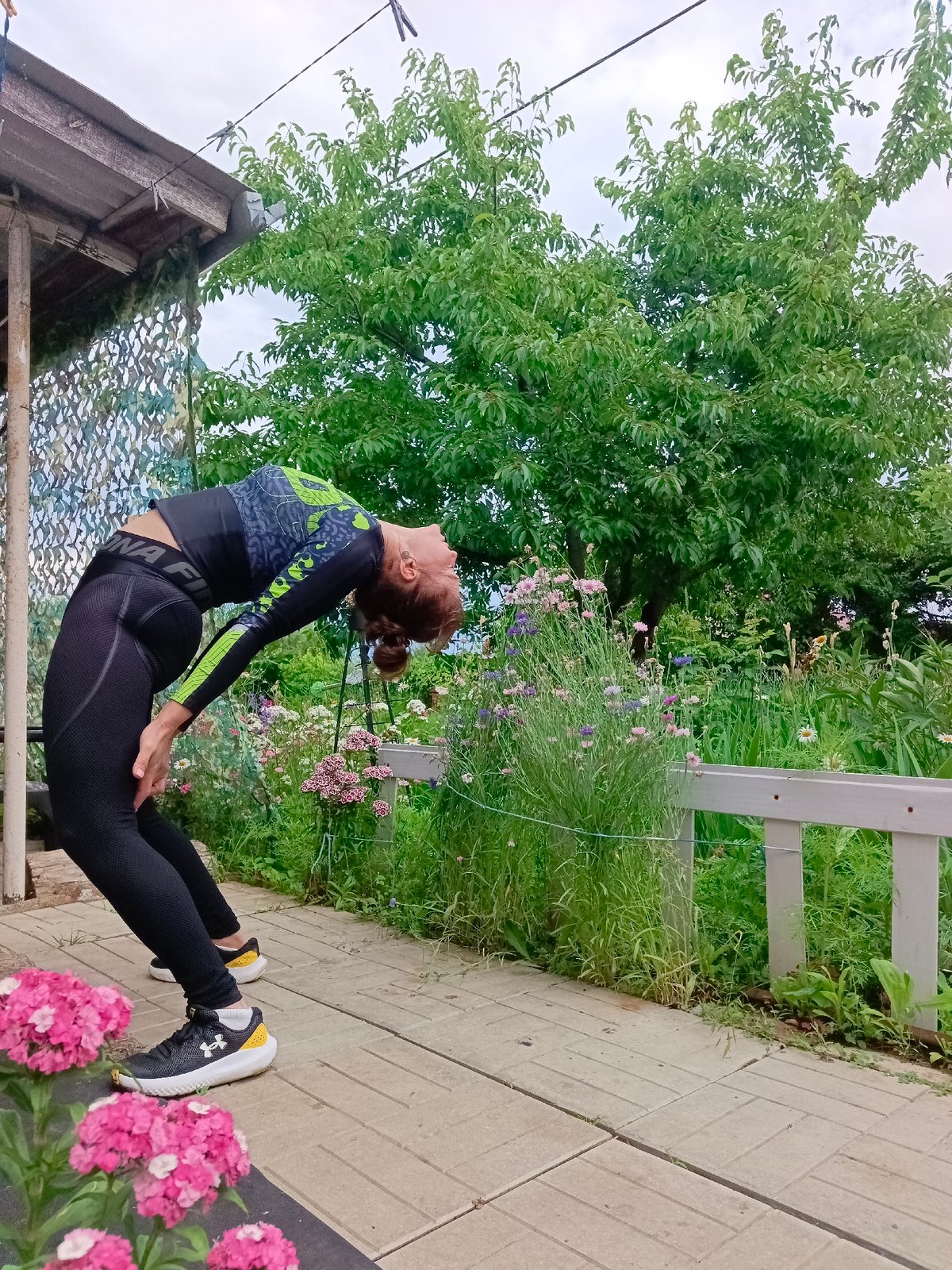 Morning workout, fresh strawberries, and a lazy cat in Vyazovka
