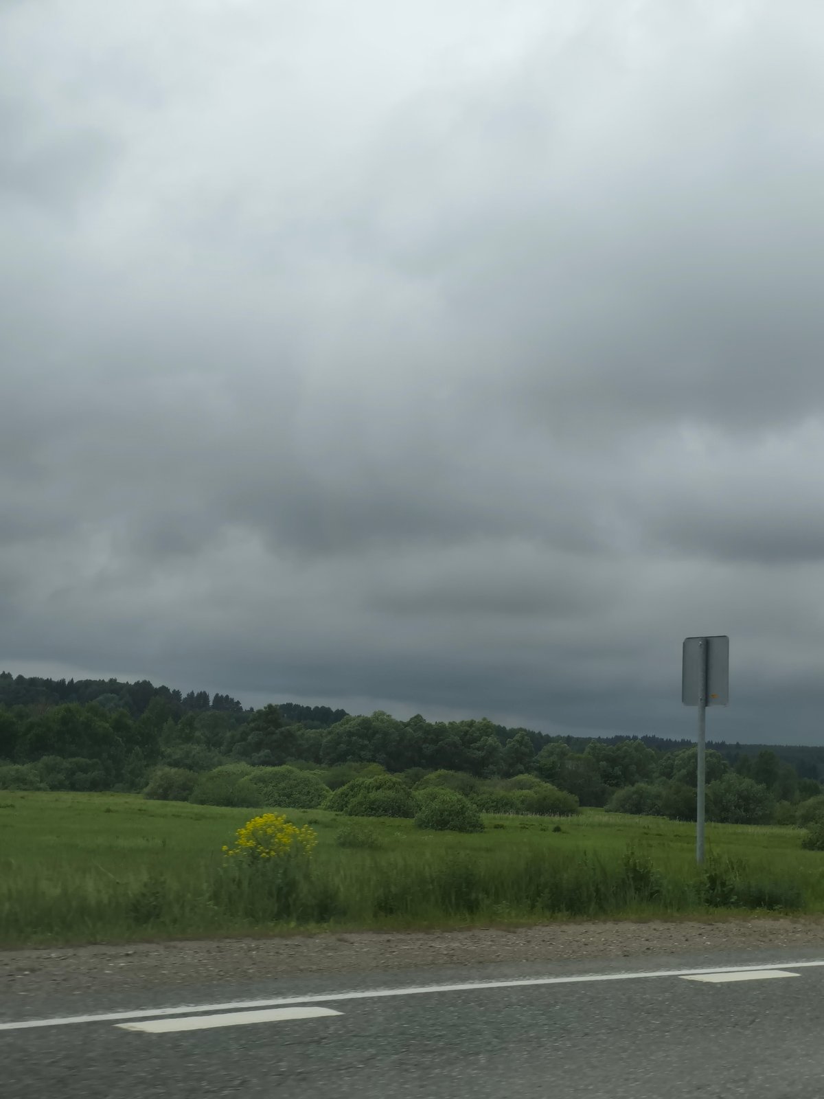 Rural landscape observed under overcast skies near Niva, Russia