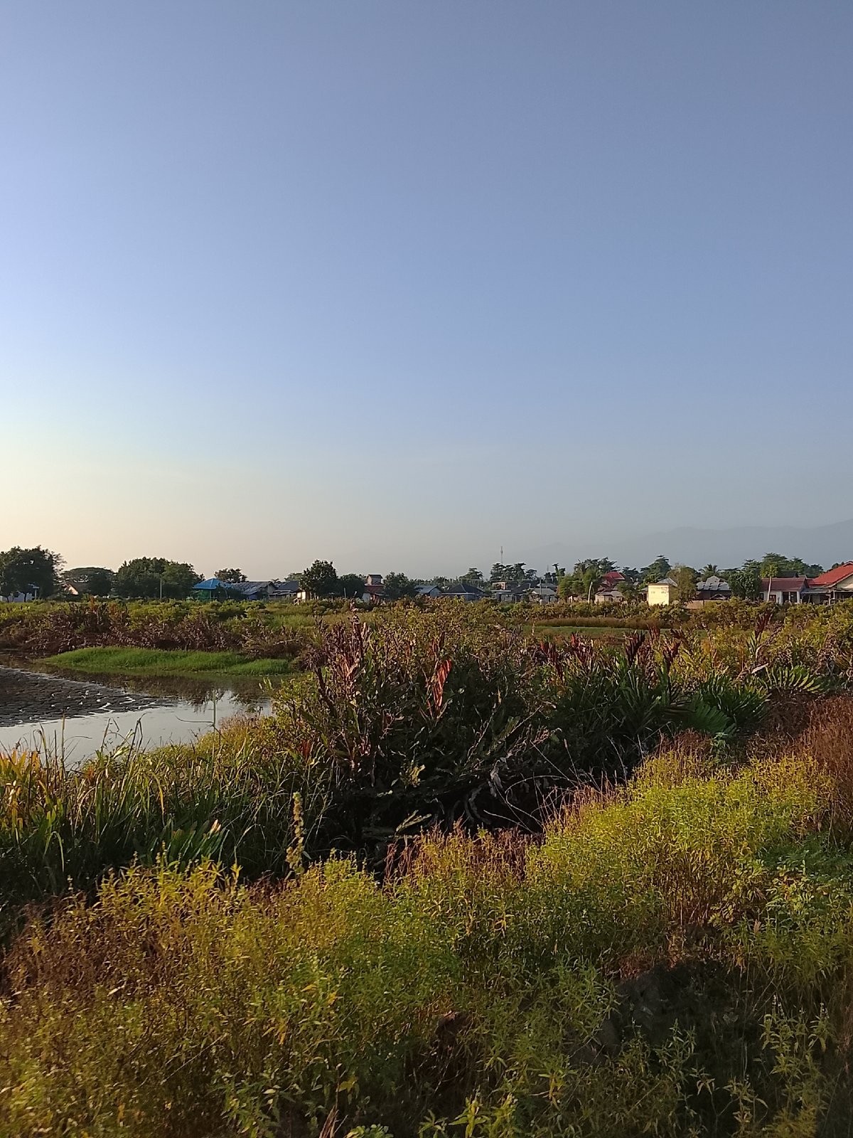 Rural roads and waterways in coastal Aceh at golden hour