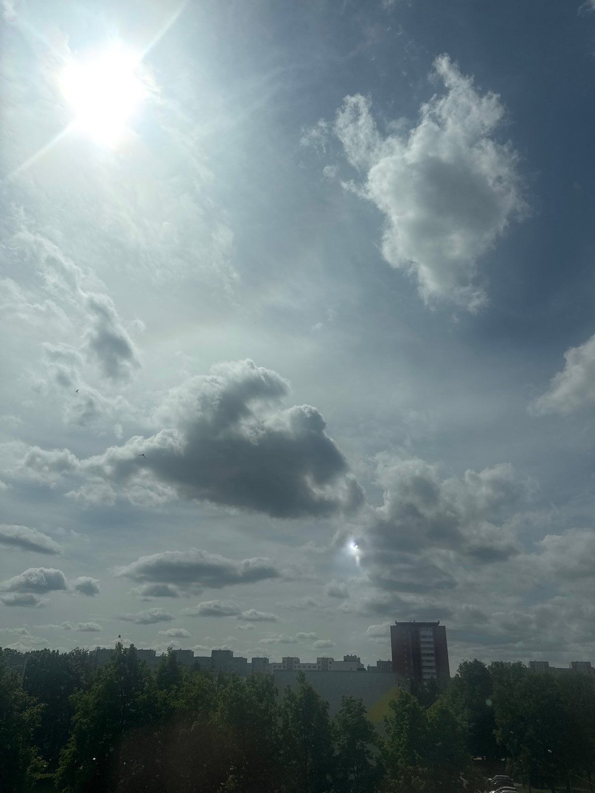 Tallinn resident captures everyday moments: dramatic skies, tabby cat, Friends mug