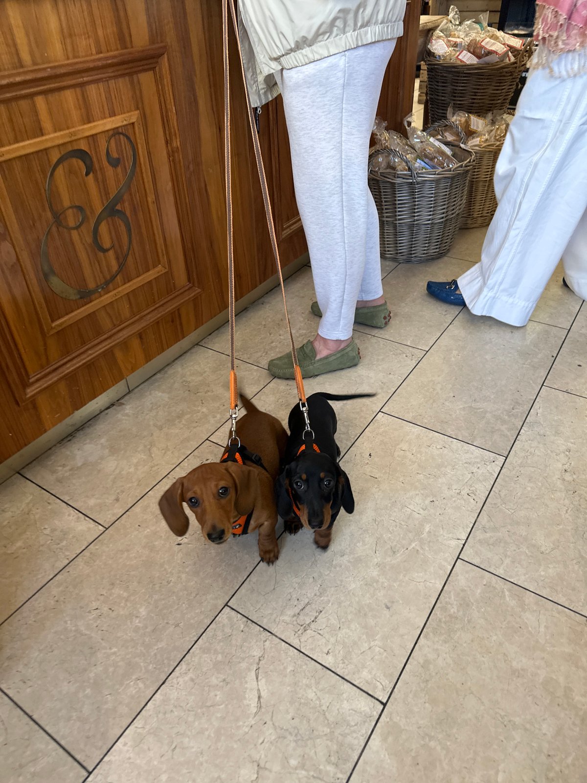 Market visitor documents puppies, produce, pastries and flowers in London