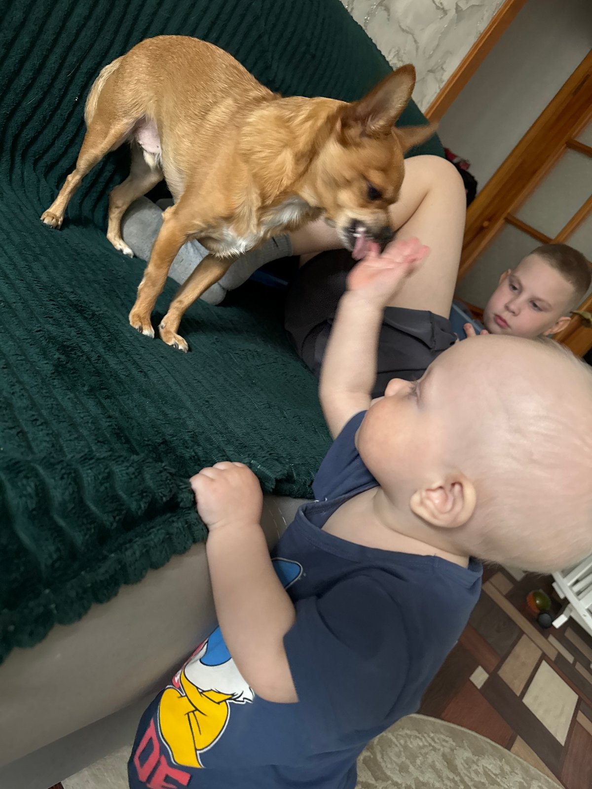 Morning family life documented in Chaikovsky, Russia homes