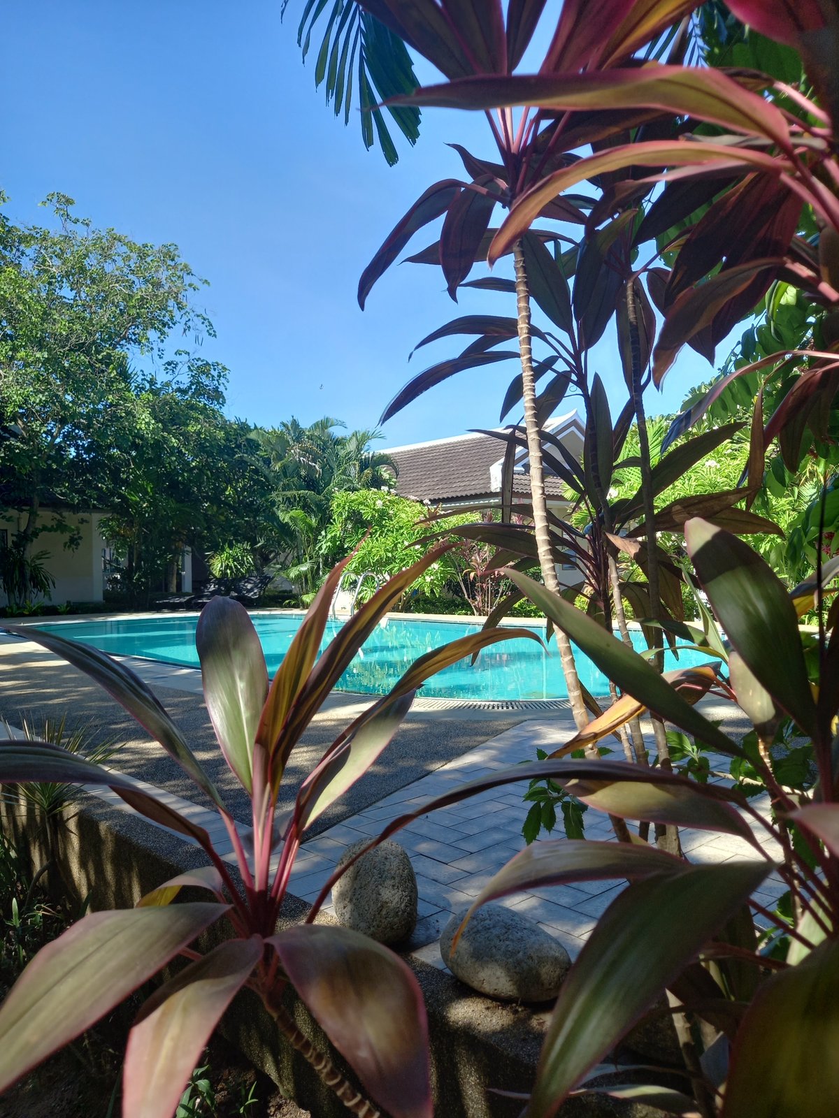 Tropical garden walkthrough at a Baan Mae Nam property