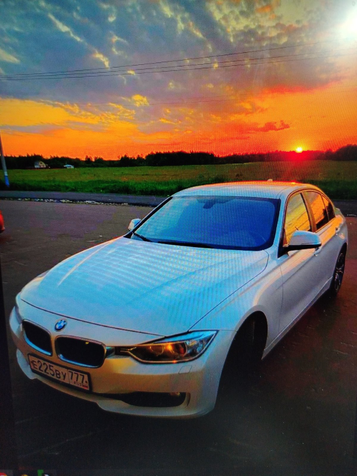 Evening snapshots capture cars, cat, houses, and houseplants