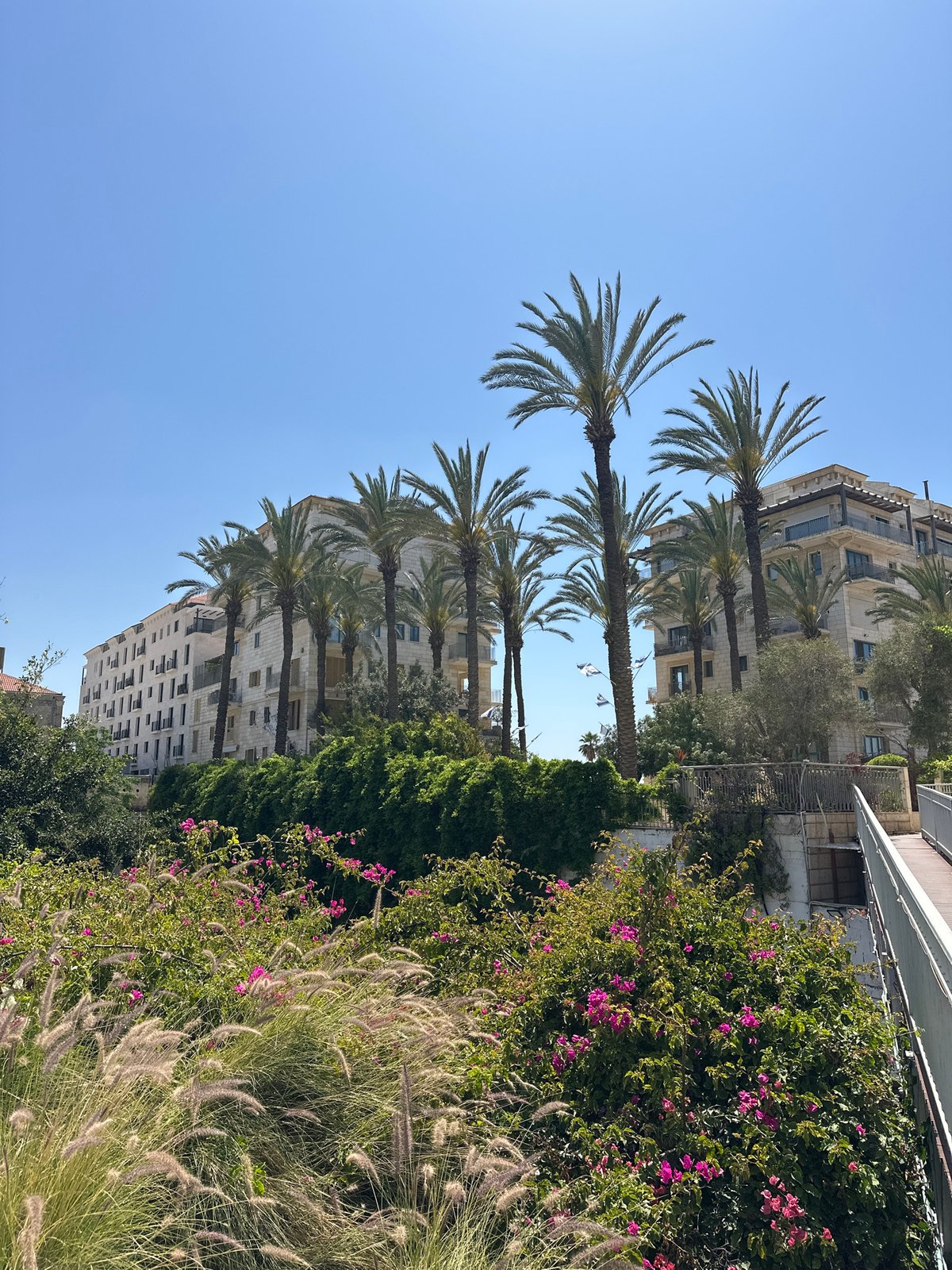 Urban landscaping documented in Tel Aviv under sunny skies