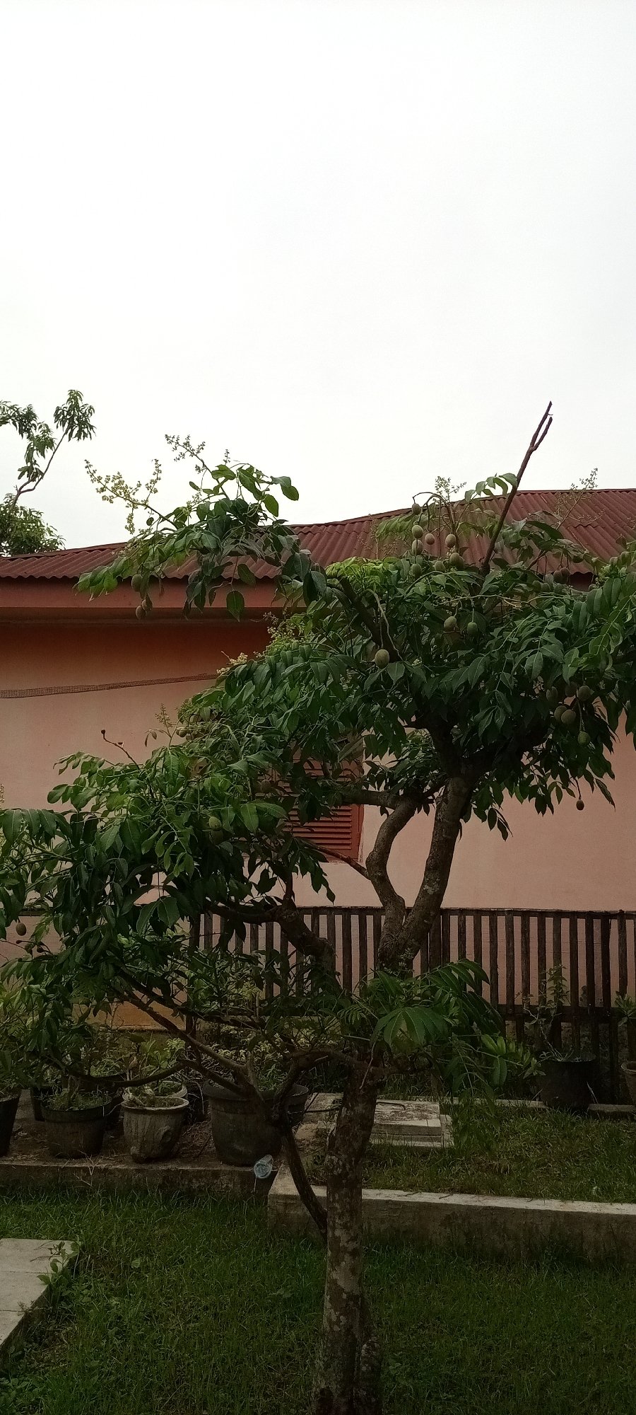 Witness Documents Lhokseumawe Neighborhood Scenes Over Hour-Long Walk