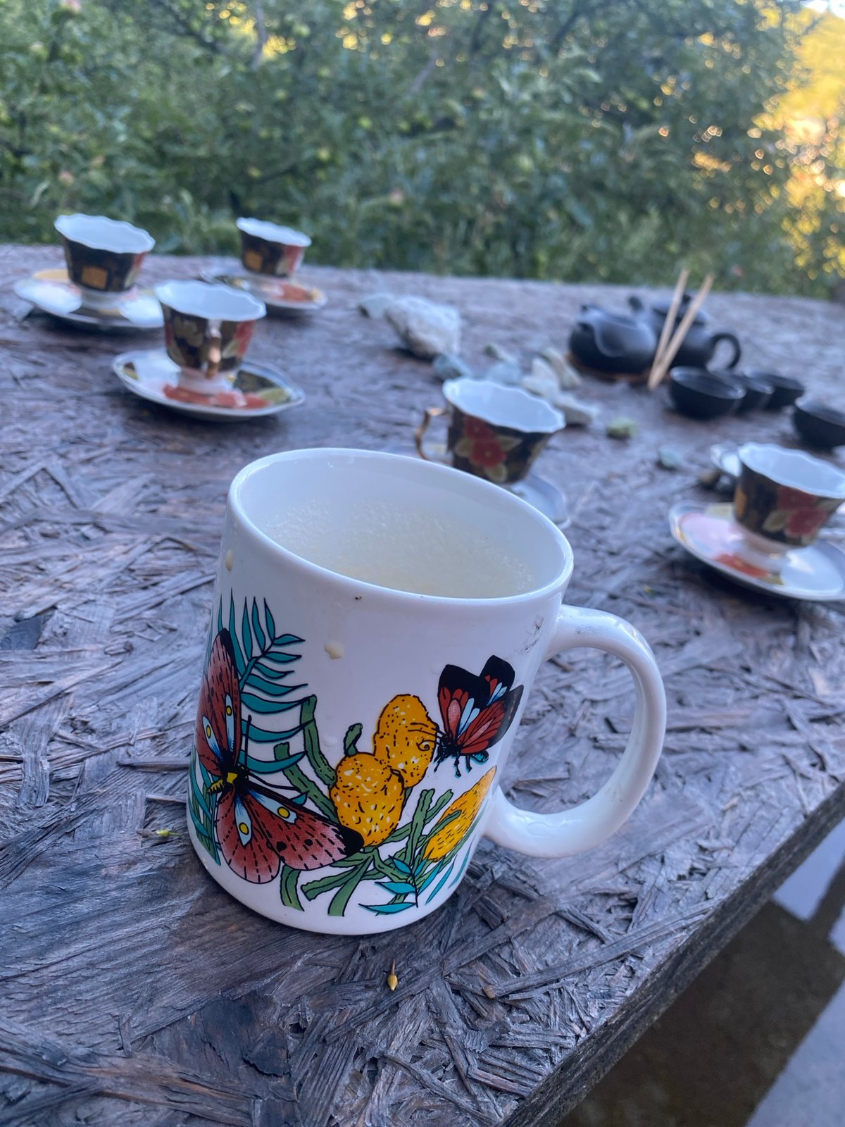 Outdoor tea and fire setup in an Almaty garden