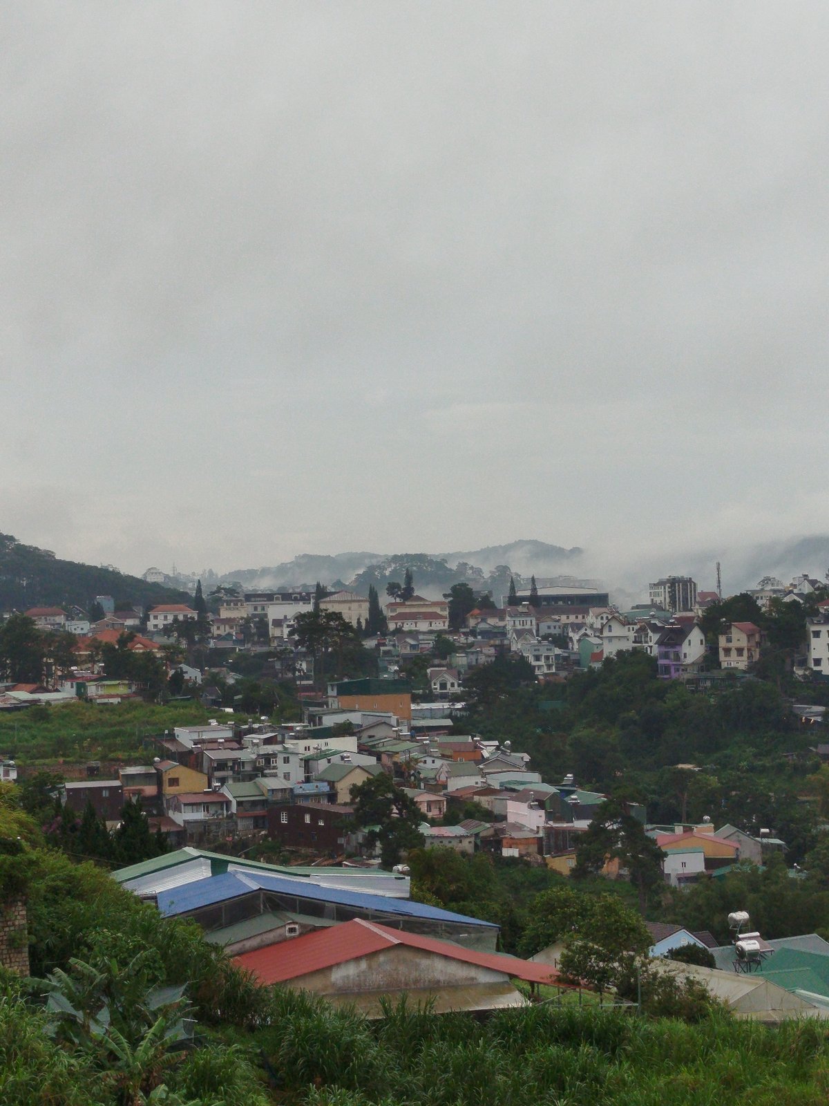 Foggy morning panorama captures Da Lat's hillside architecture