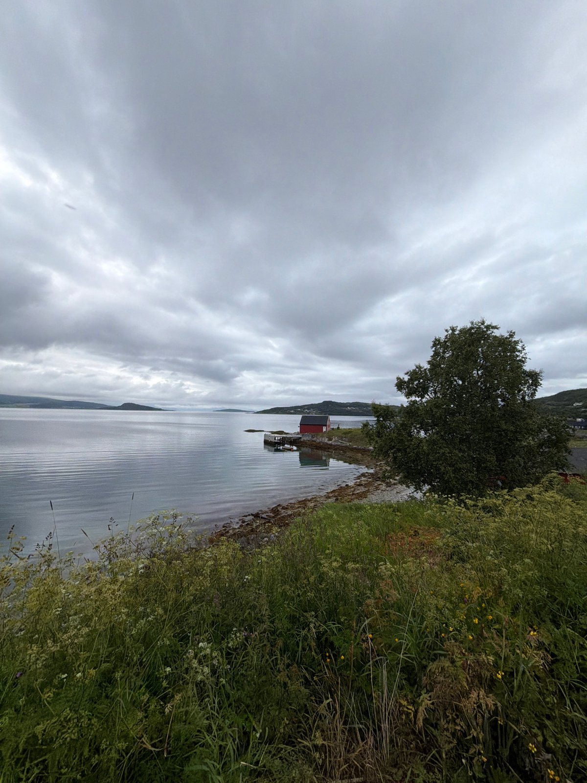 Overcast summer afternoon along the Harstad shoreline