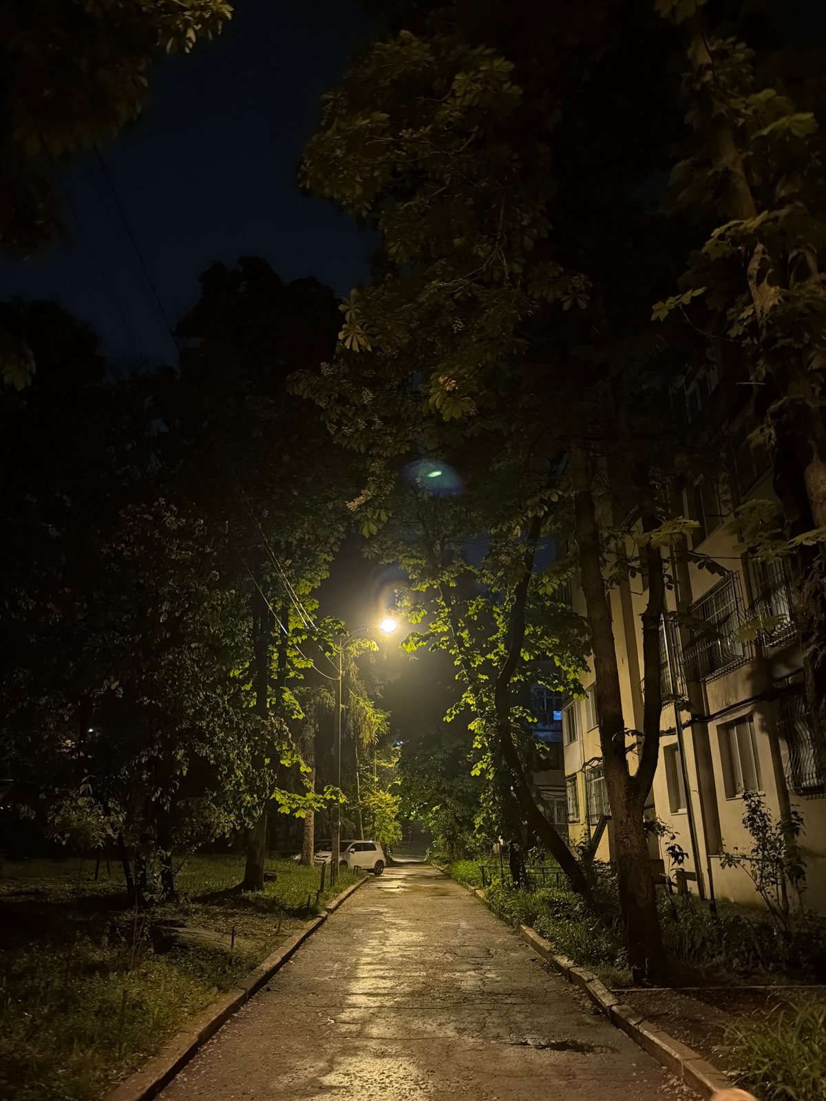 Nighttime street scene captured with wet pavement reflecting lamplight