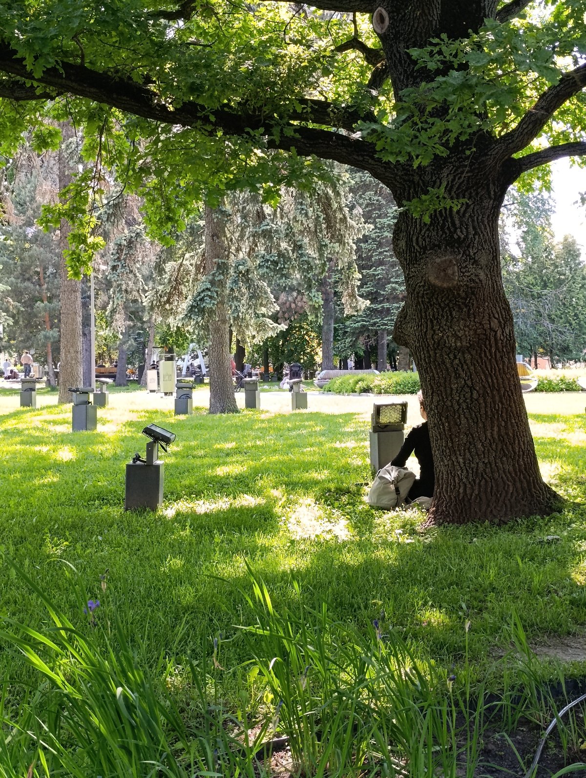 Moscow park visitors enjoy sunny afternoon exhibition and nature displays