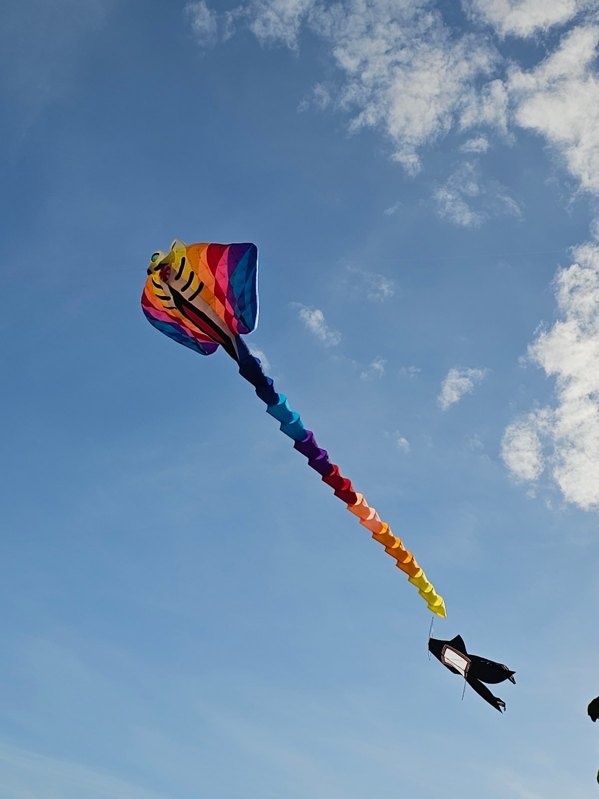 Giant inflatable kites fill the sky at Denpasar beach festival