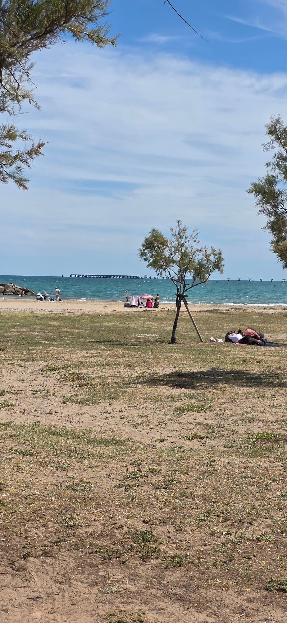 Afternoon life captured across Sagunto: parrots, beachgoers, cyclists