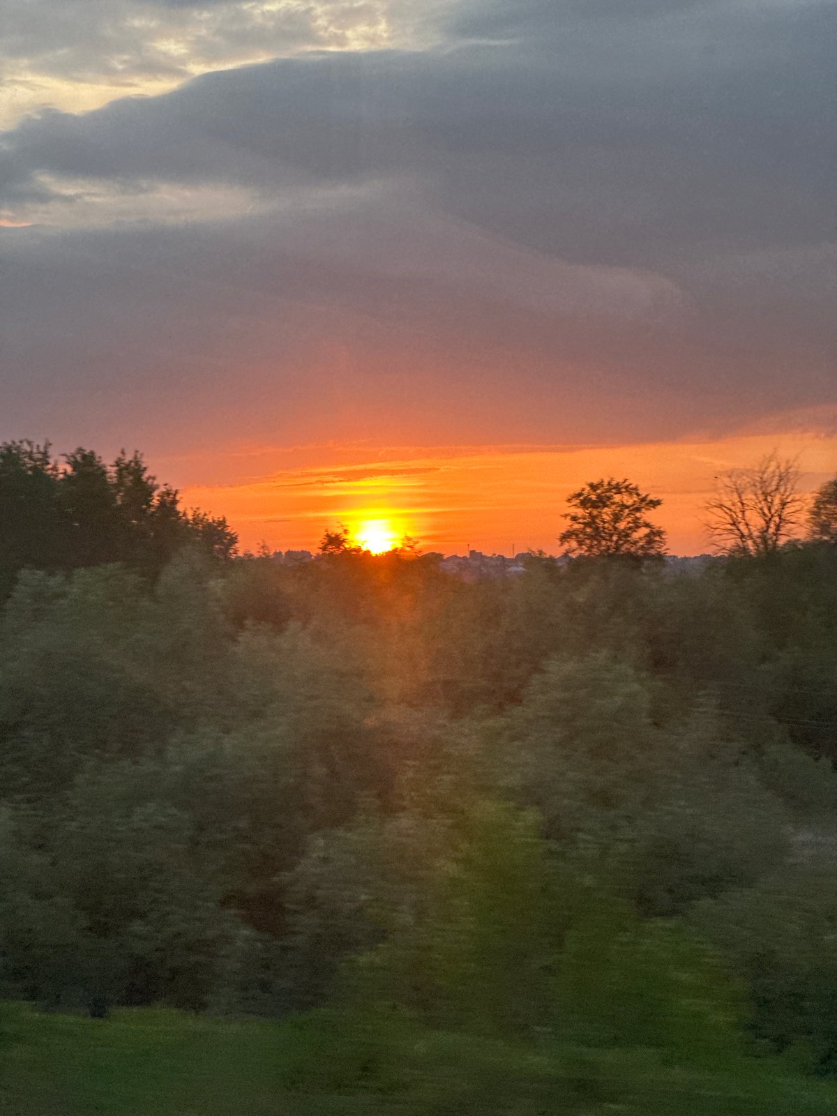 Sunset observed through trees in Vladimir, Russia