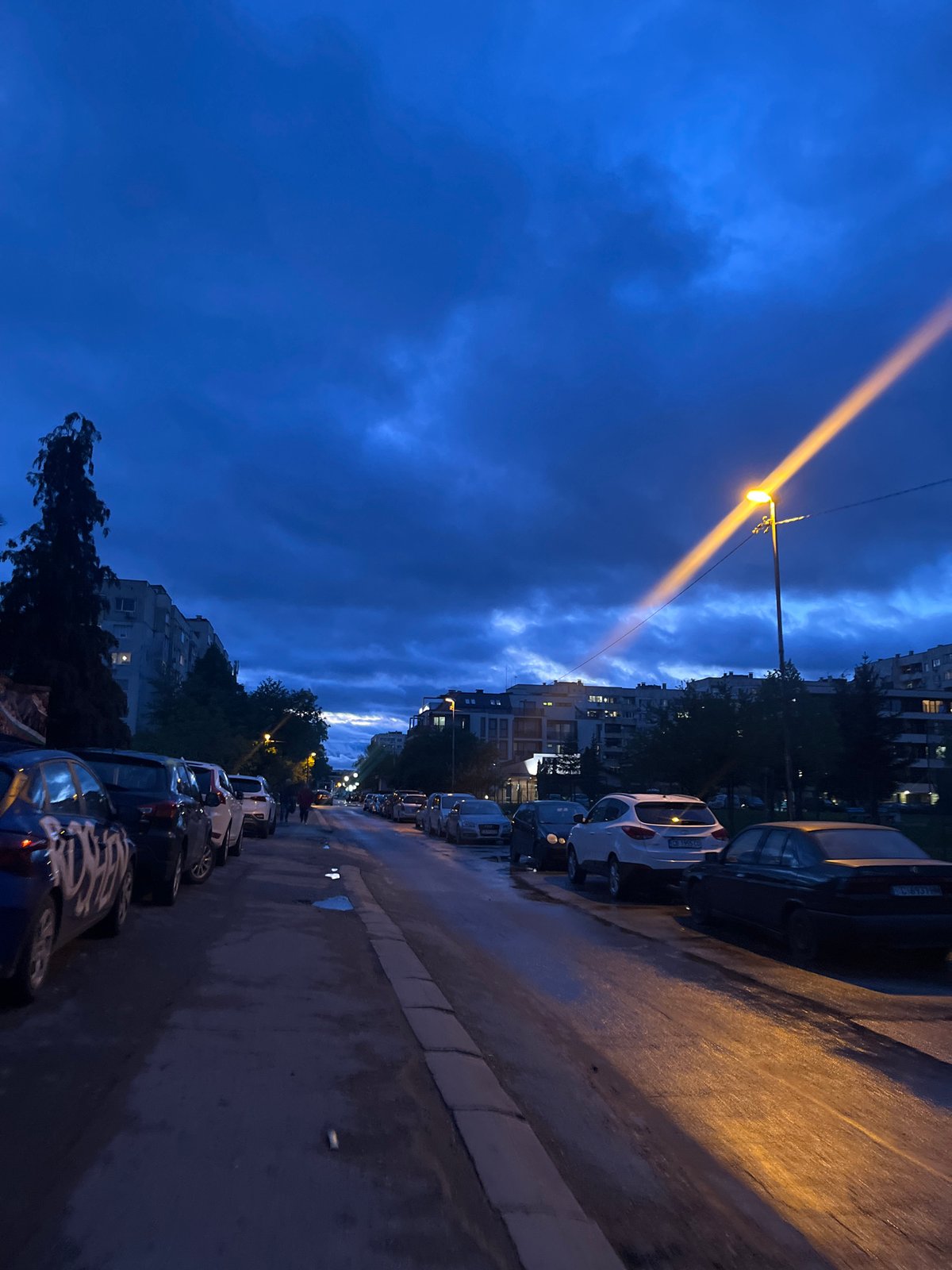 Evening storm aftermath documented across Sofia streets