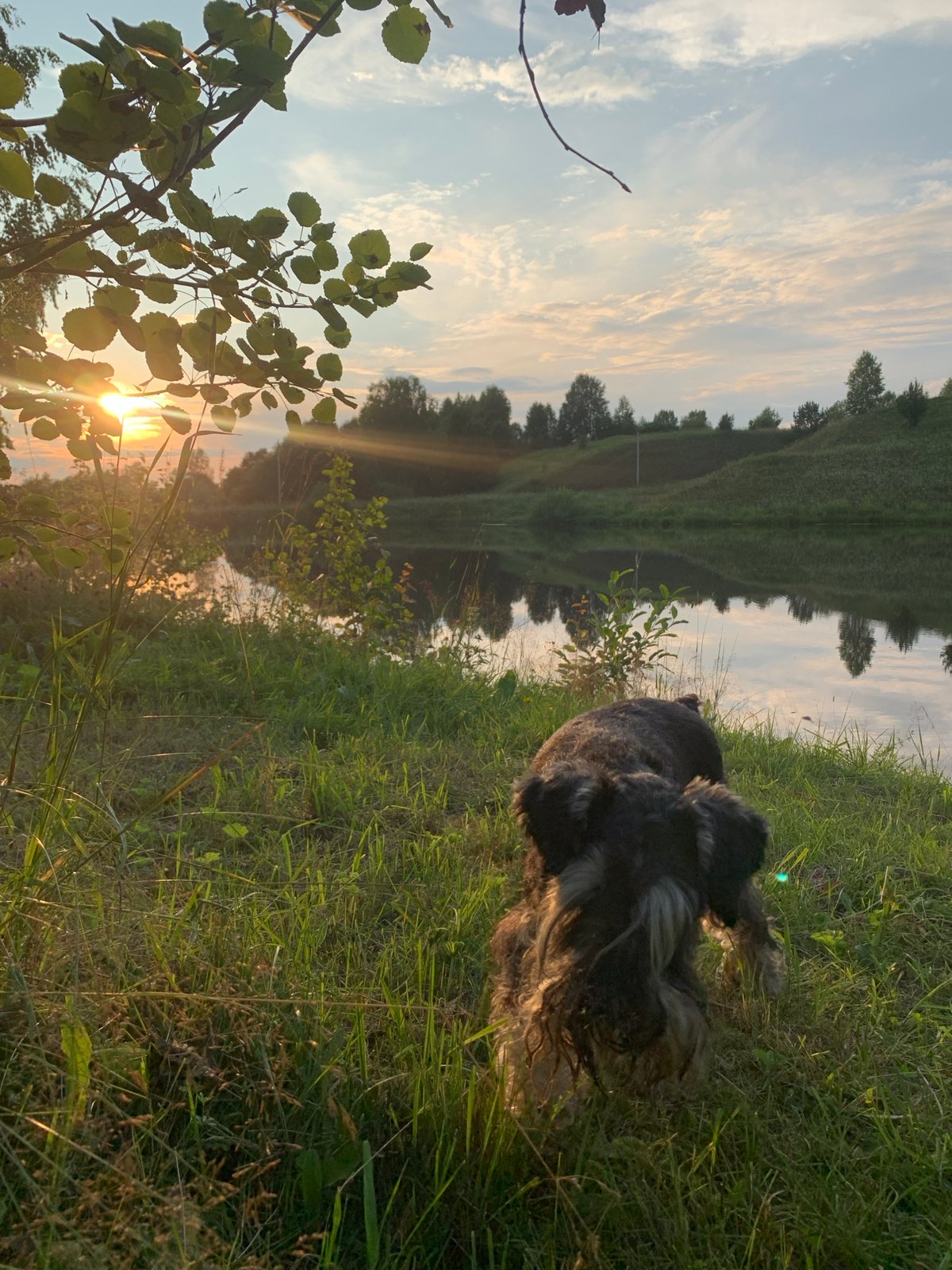 Summer evening outdoors in Zasechnyi — campfire, lake views, golden sunset