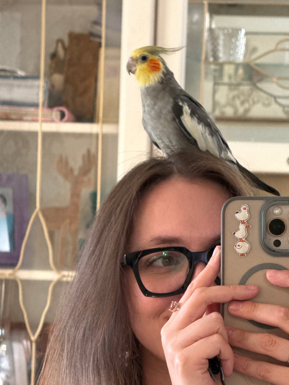 Cockatiel, pug, and cat — a pet-filled afternoon in Chaikovsky