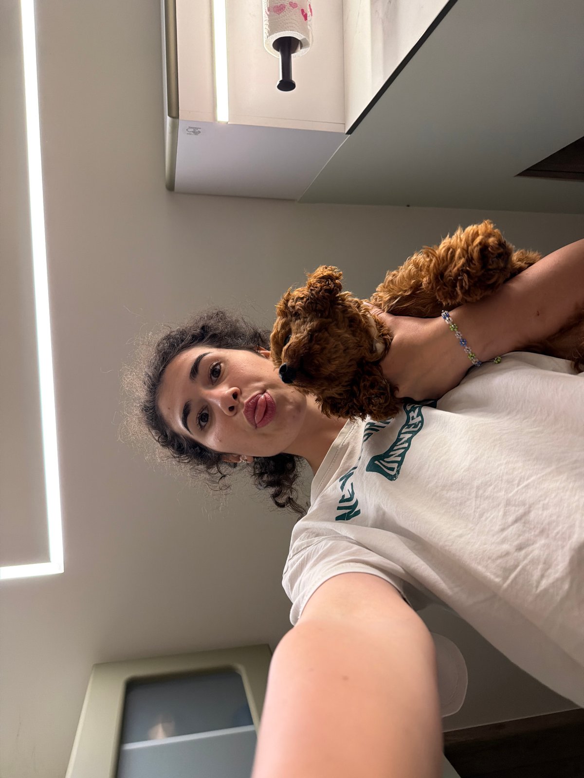Poodle puppy afternoon in a Sofia apartment
