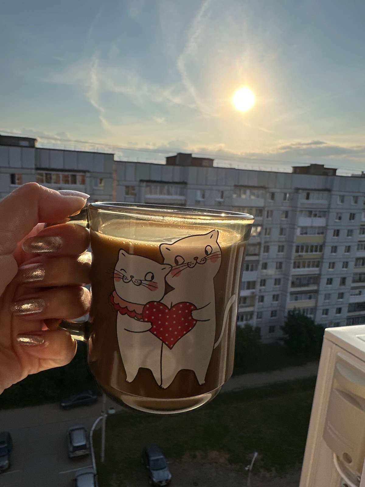 Sunset evening at home with a Persian cat in Chaikovsky