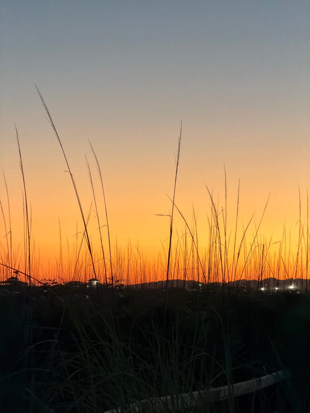 Grass and fading sky at dusk in coastal Montenegro
