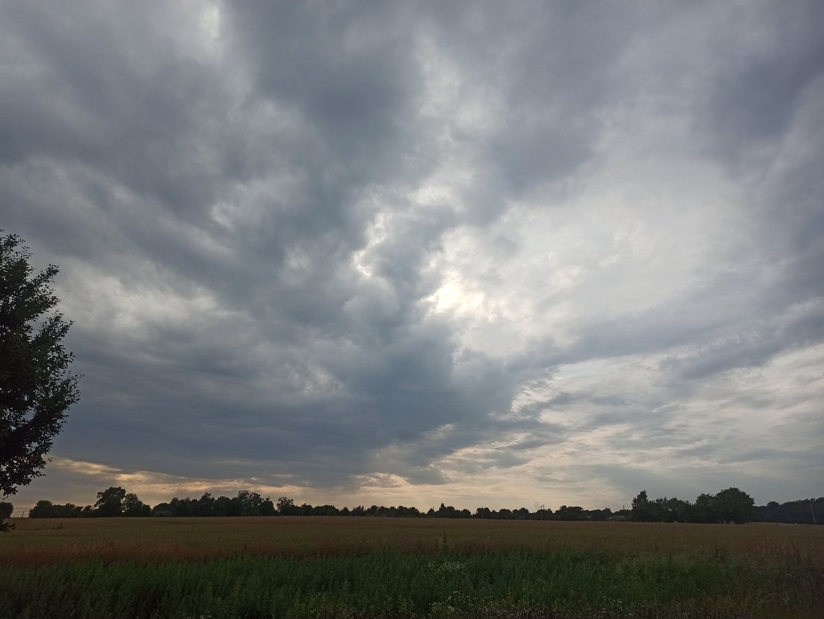 Stormy skies and a blooming rose, an hour apart