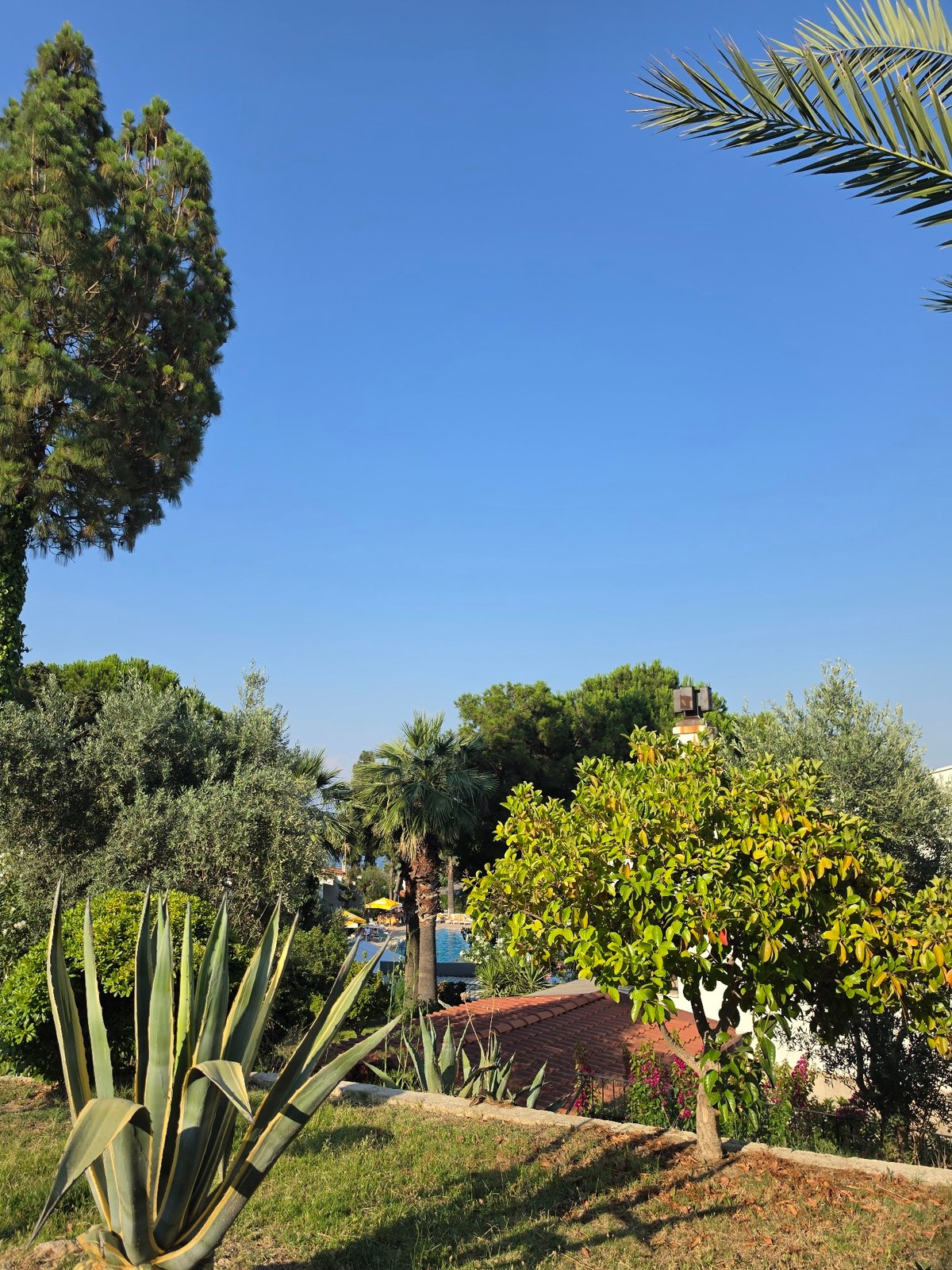 Poolside patio and gardens in Urla, Turkey