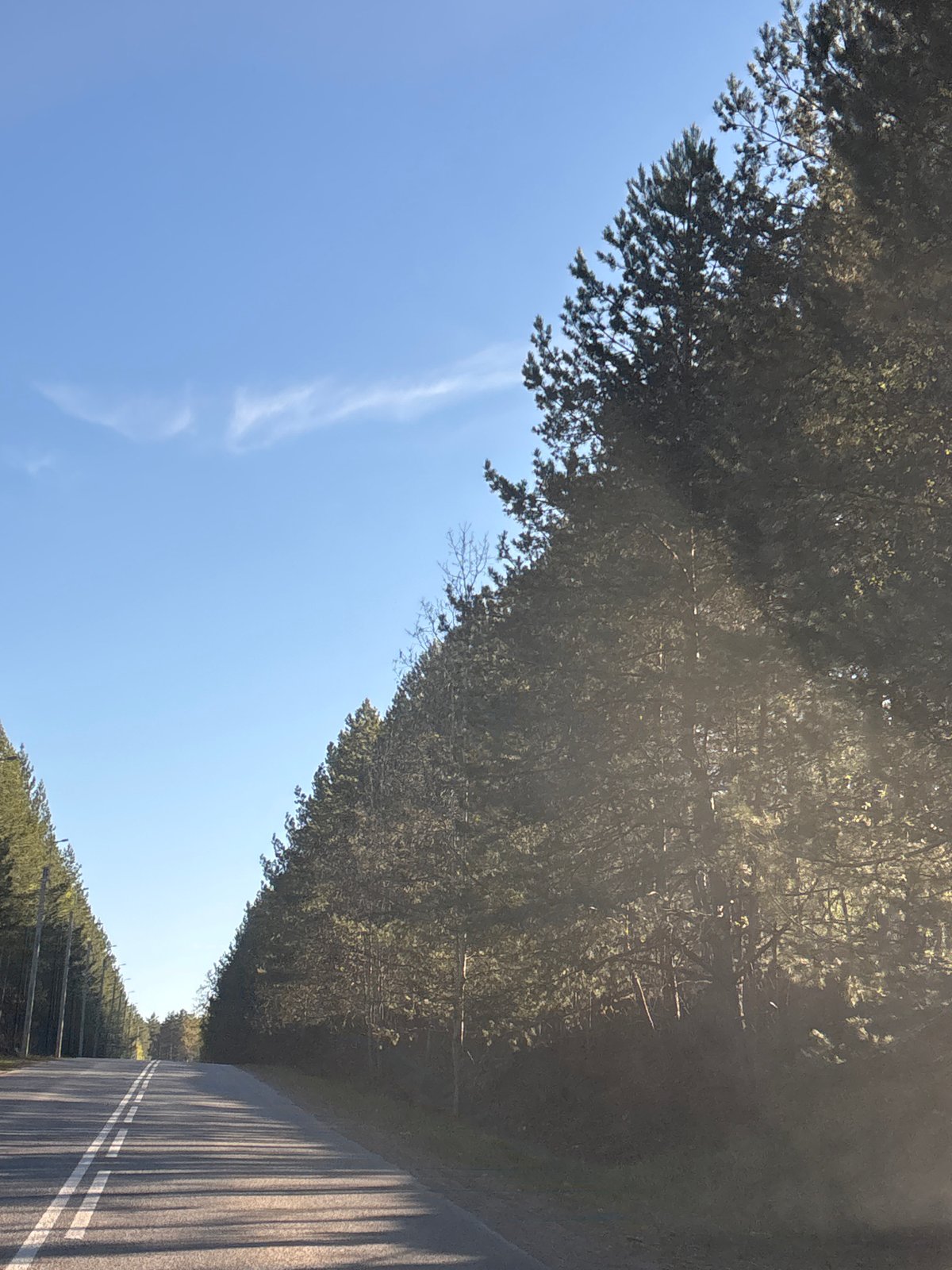 Clear day observed on tree-lined road in Chaikovsky, Russia