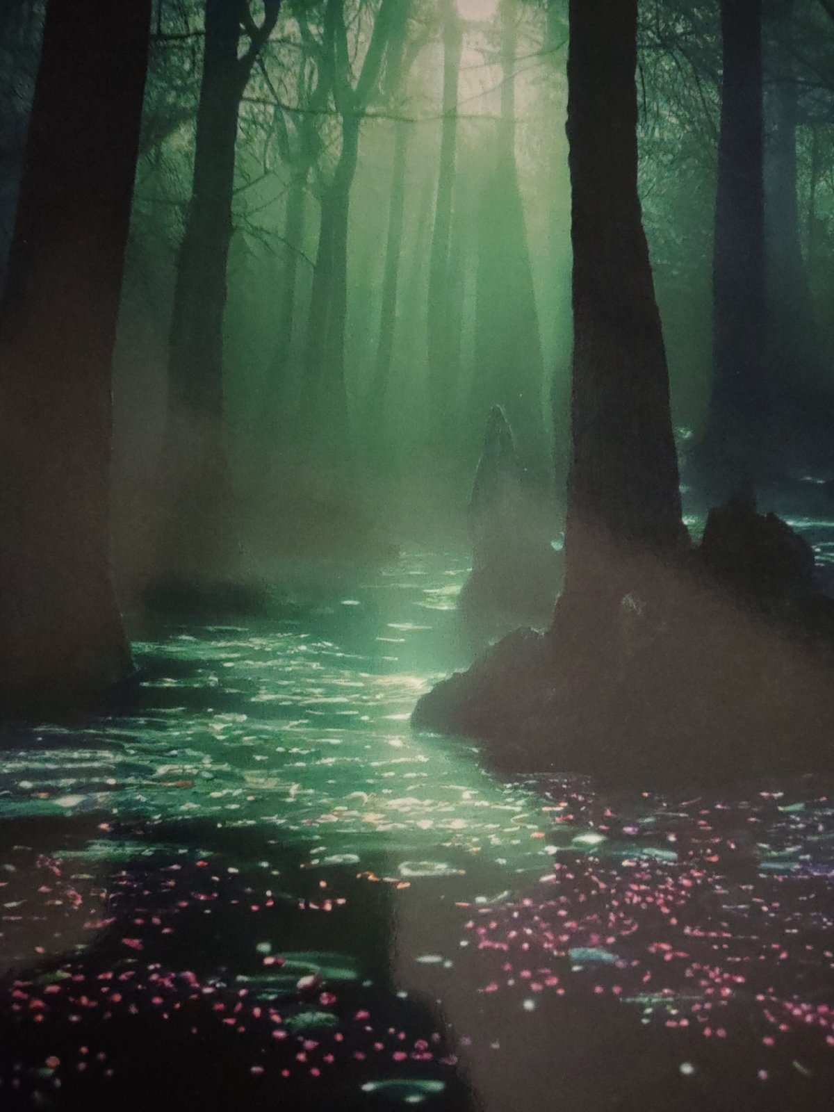 Misty forest, green light, dark trees — 15 angles