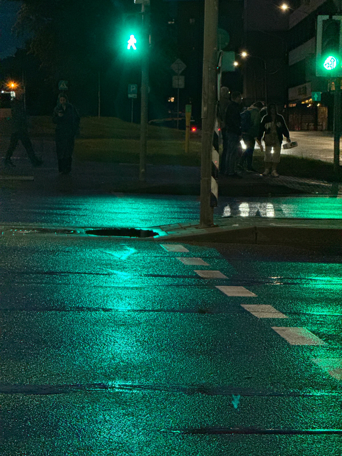 Minsk streets after dark, wet pavement and neon signage