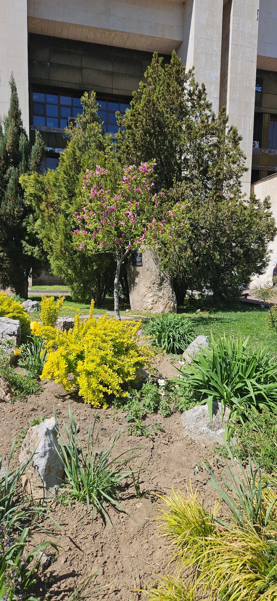 Easter displays and spring blooms documented in Blagoevgrad