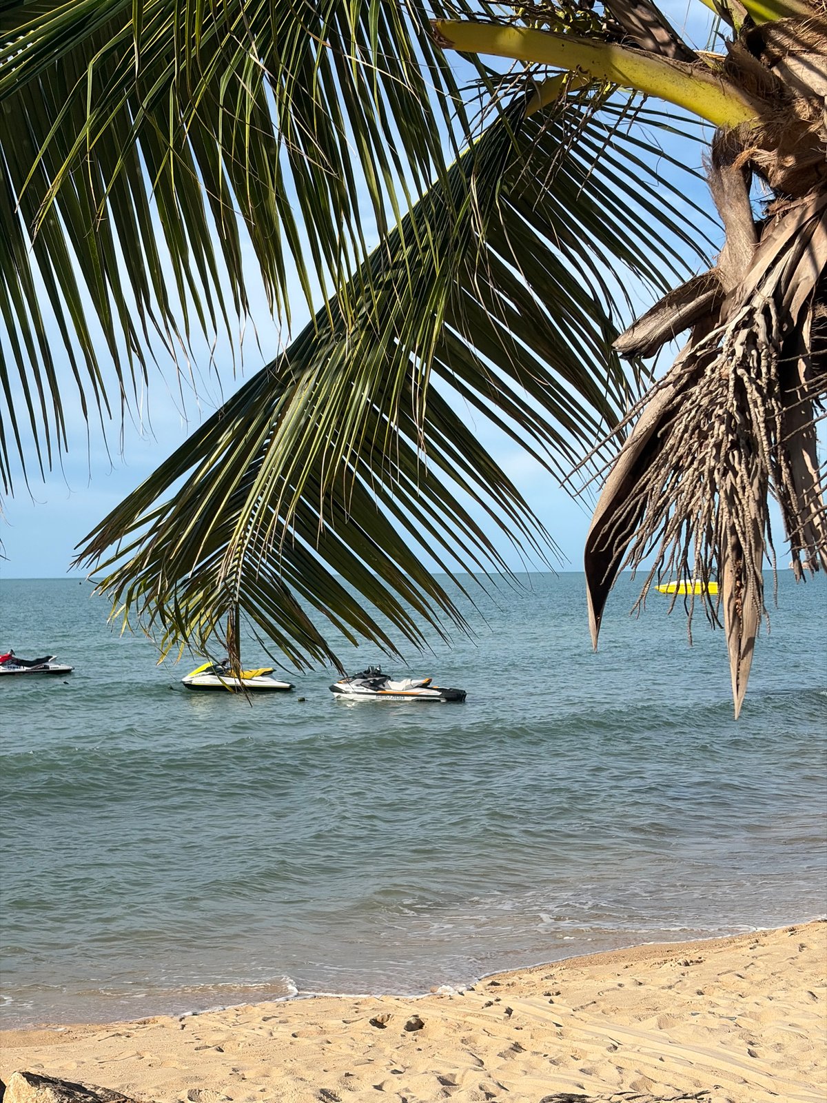 Mae Nam beach morning: shoreline, jet skis, a horse, and local surroundings