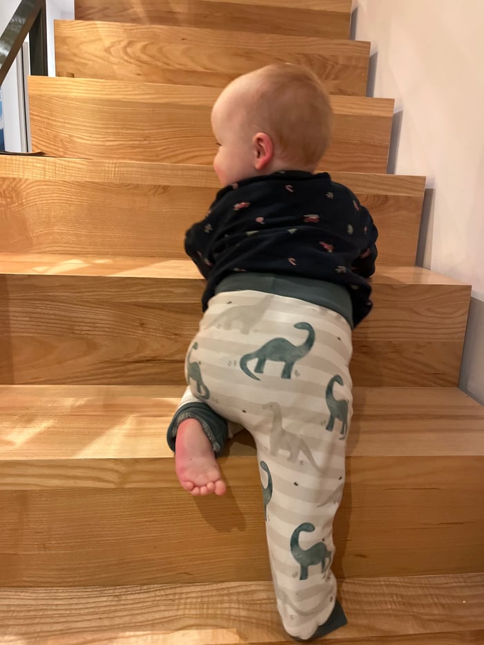Family moments with baby and Corgi captured in German home