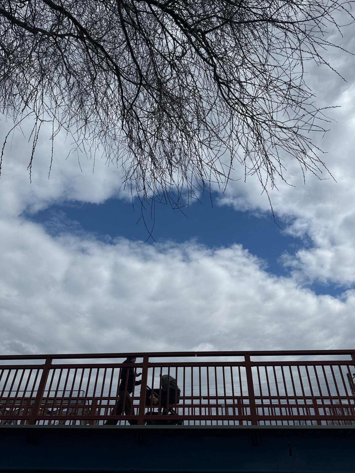Morning scenes documented across Carnikava, Latvia parks and riverside