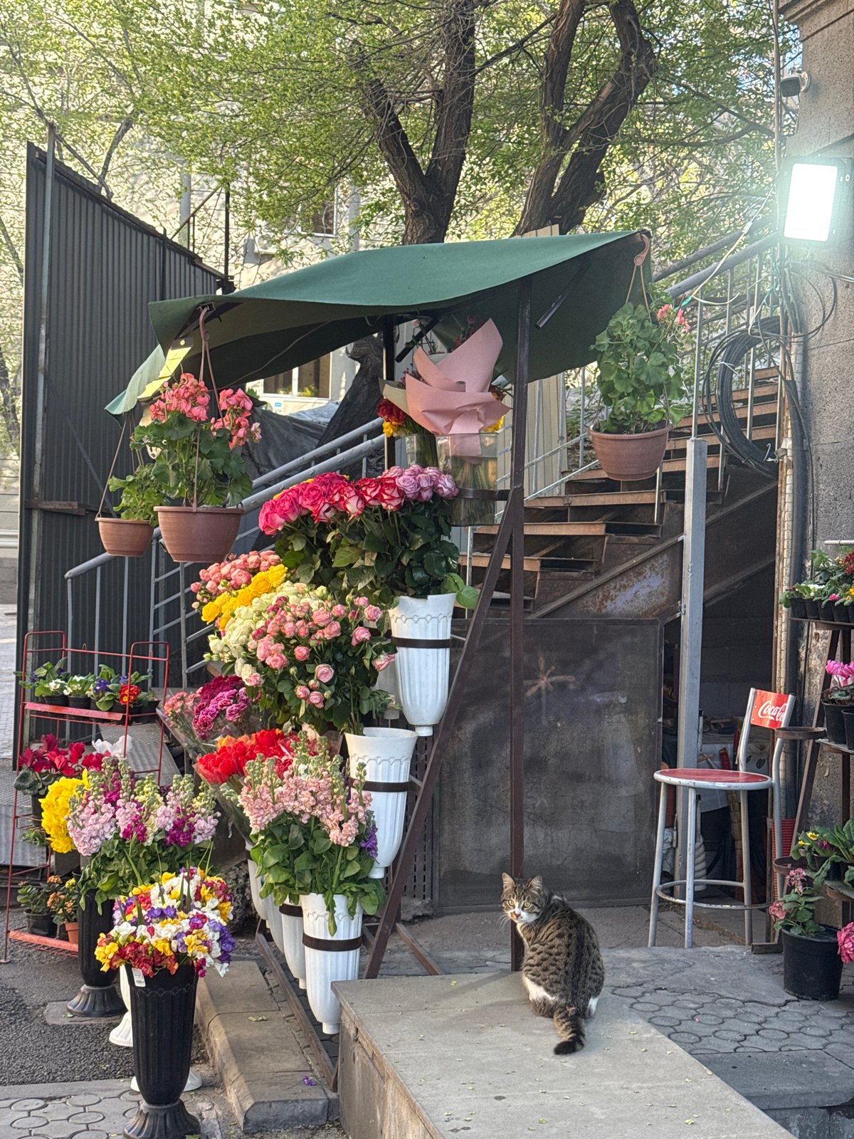 Street flower vendor operates in downtown Yerevan